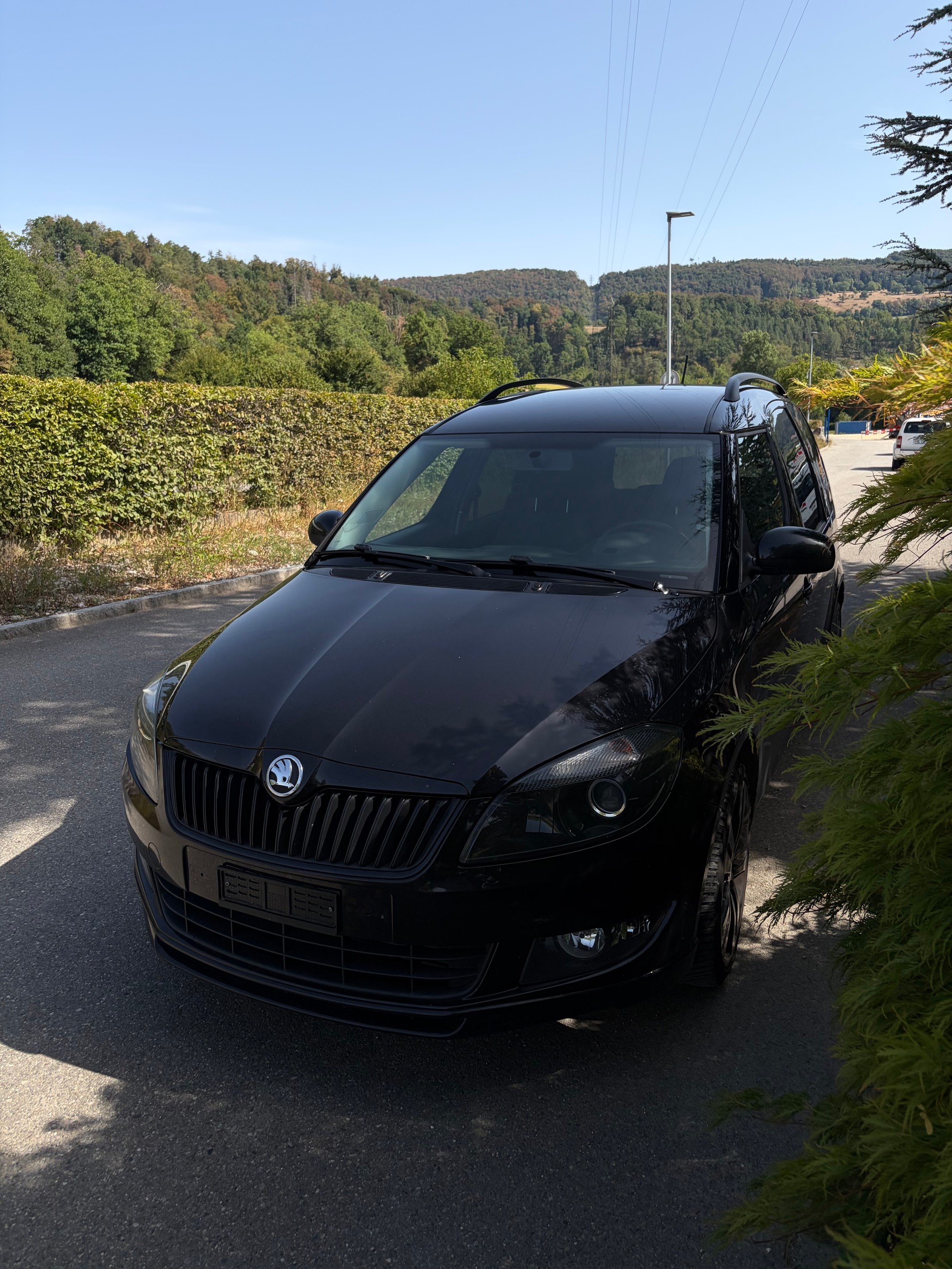 SKODA Roomster 1.6 TDI Elegance-image-2