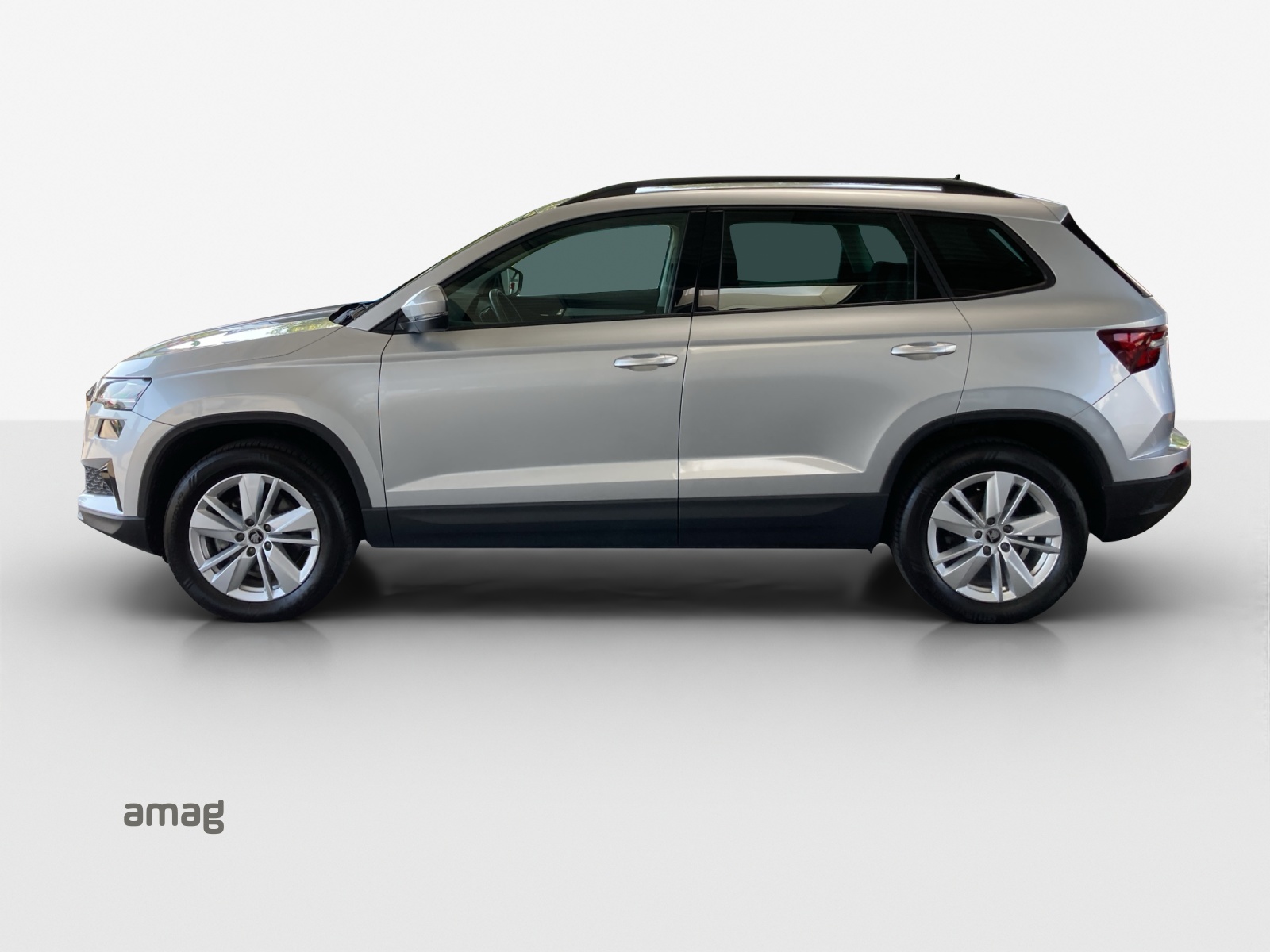 SKODA Karoq 2.0 TDI CR Selection 4x4 DSG-image-1