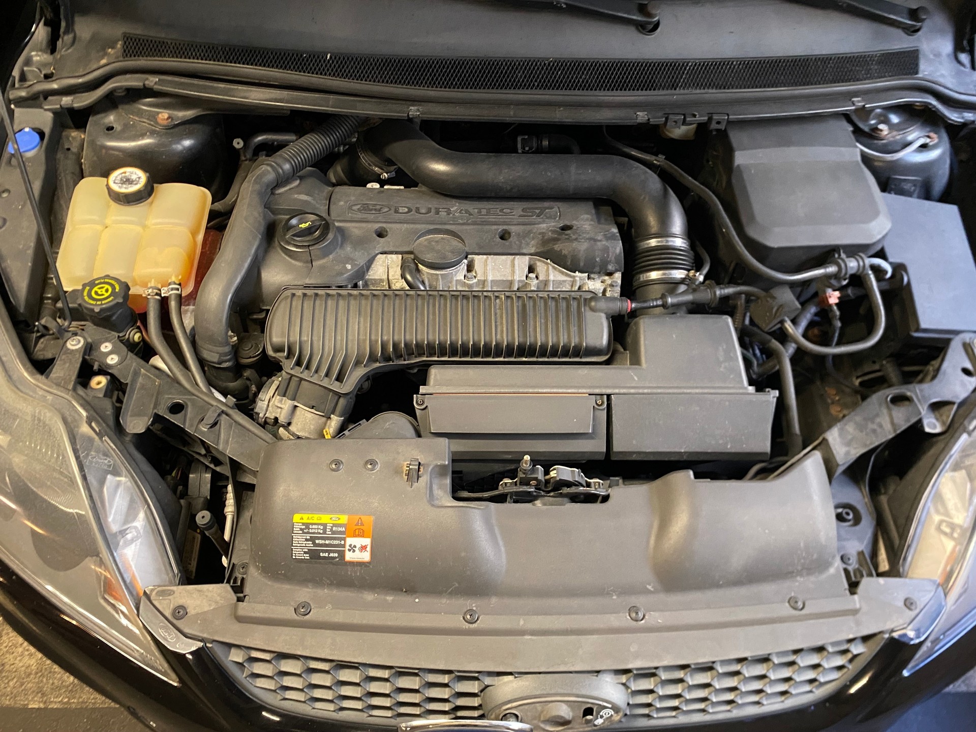 FORD Focus 2.5 Turbo ST*Alufelgen 19 Zoll Federn Marke H&R**Ab MFK**-image-15
