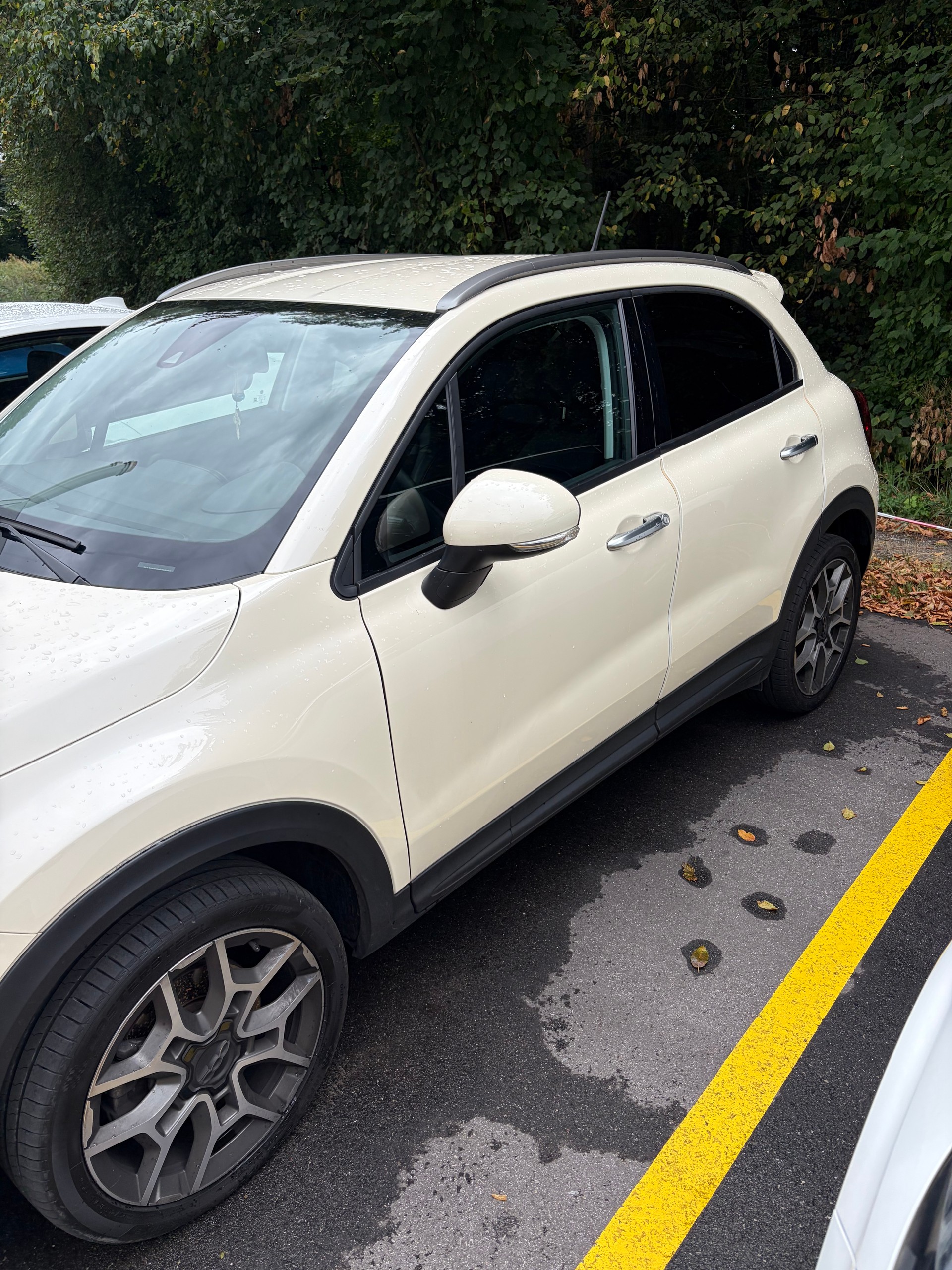 FIAT 2.0 JTD City Cross 4x4-image-1