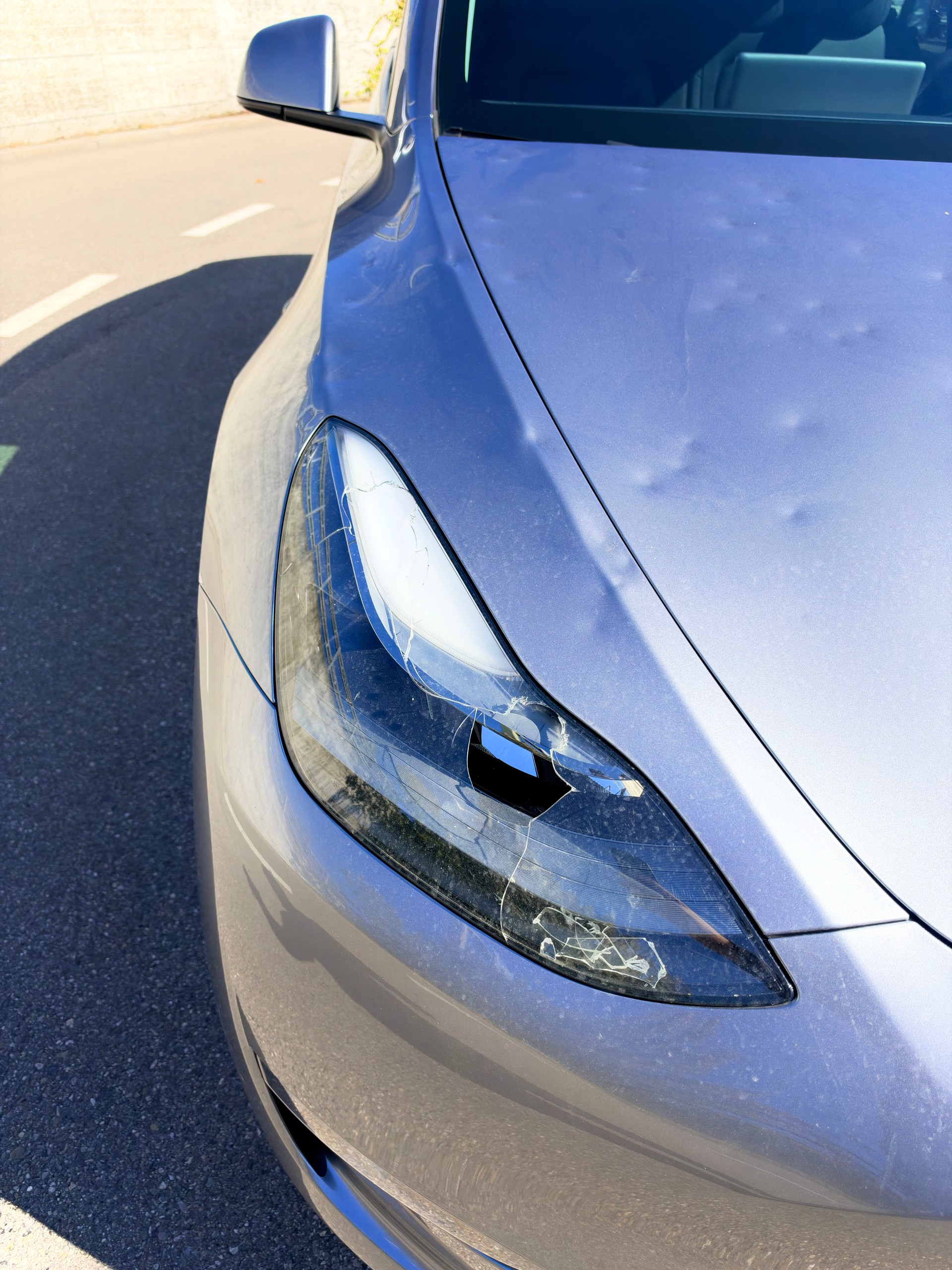 TESLA Model Y Performance-image-5