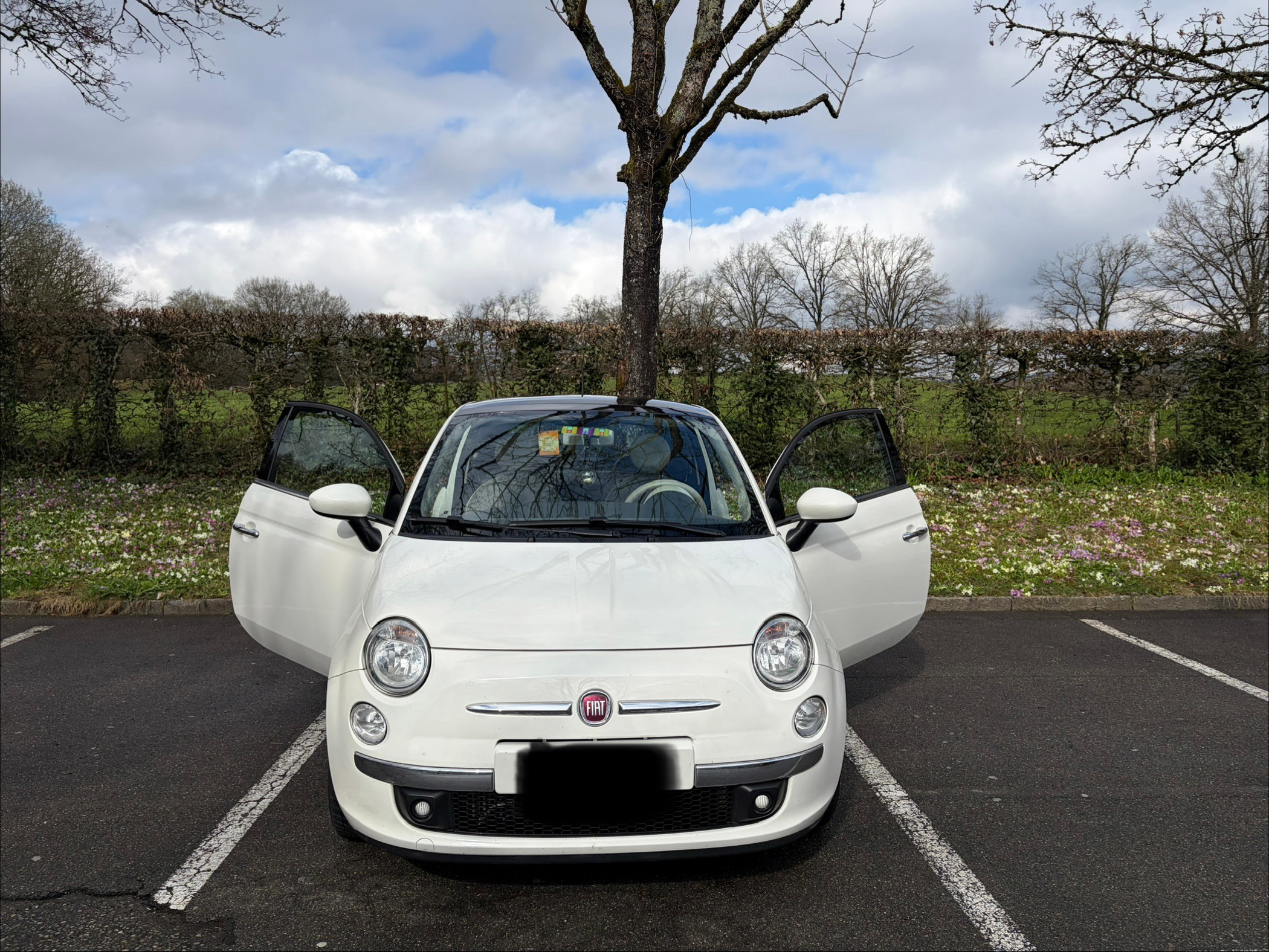 Car photo