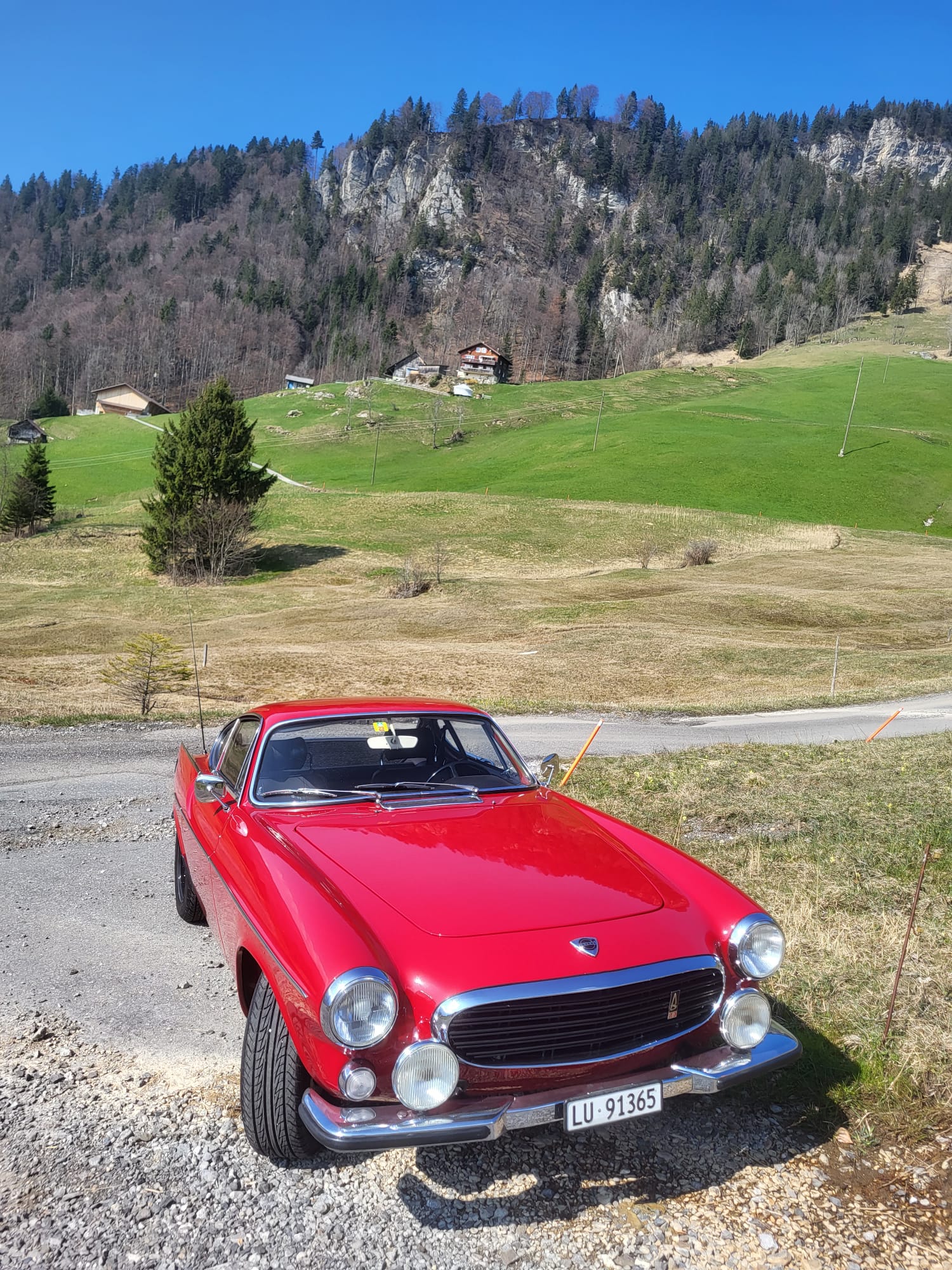 VOLVO Sport P1800E-image-3