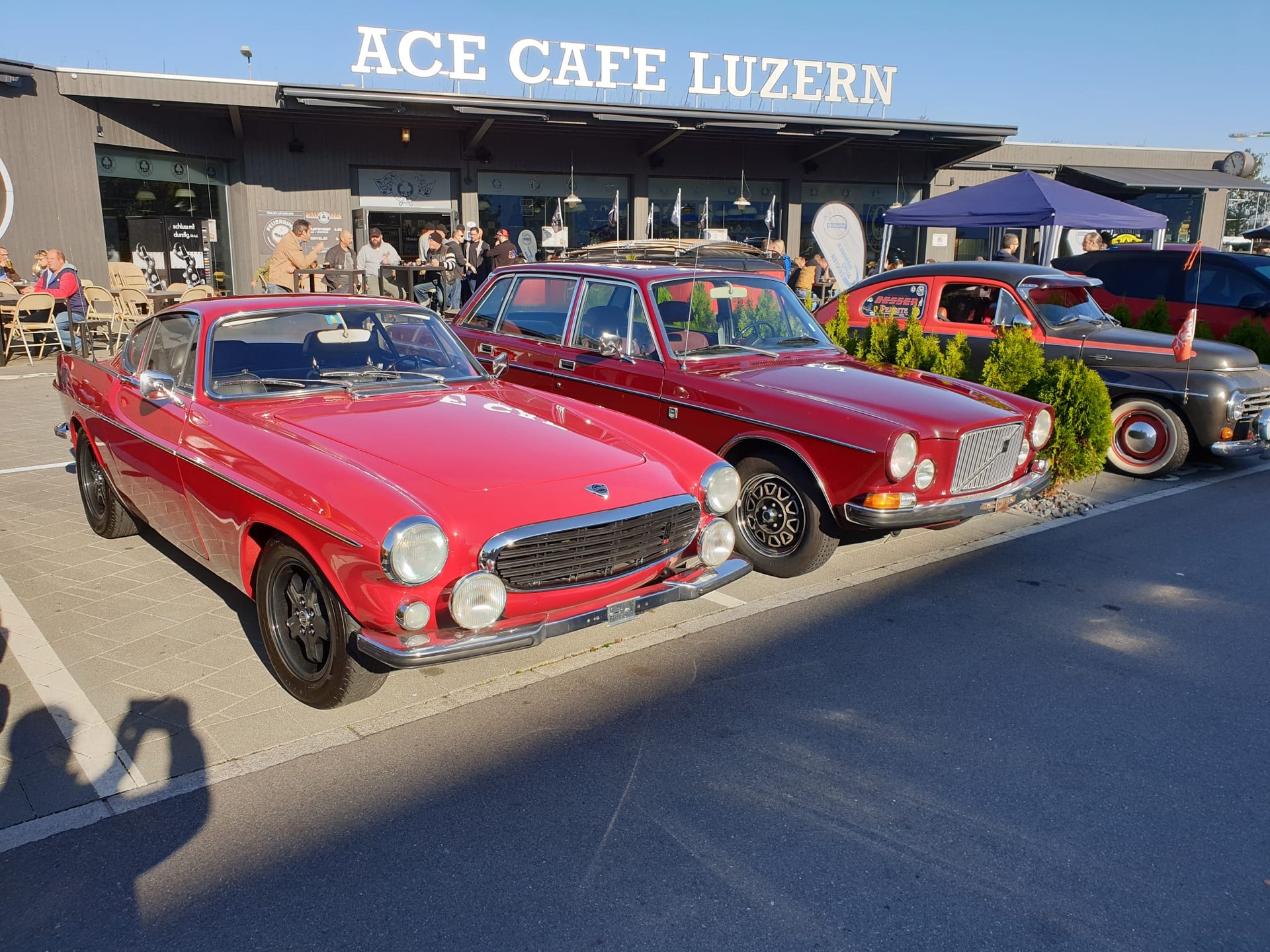 VOLVO Sport P1800E-image-4