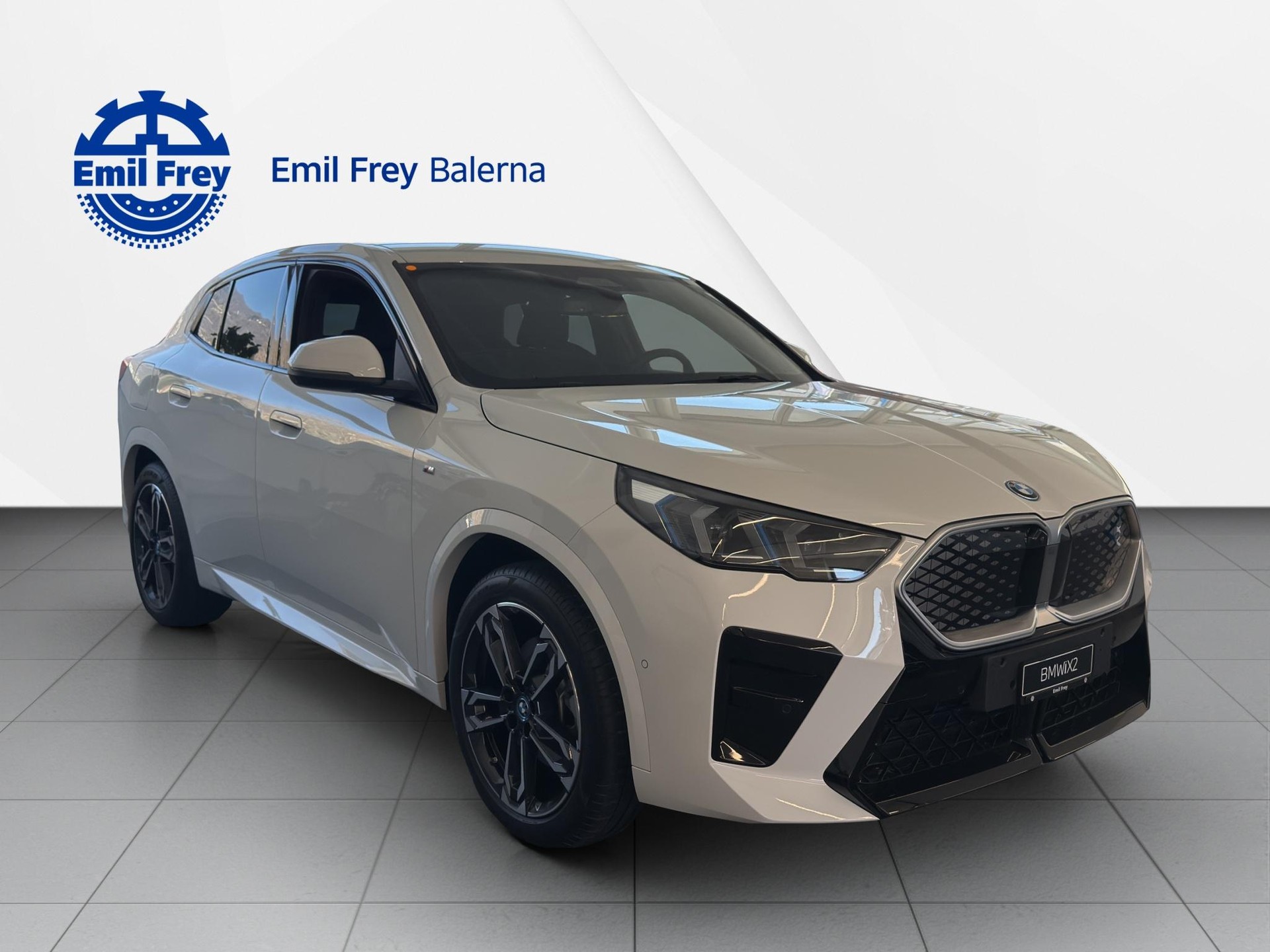 BMW iX2 xDrive 30-image-6