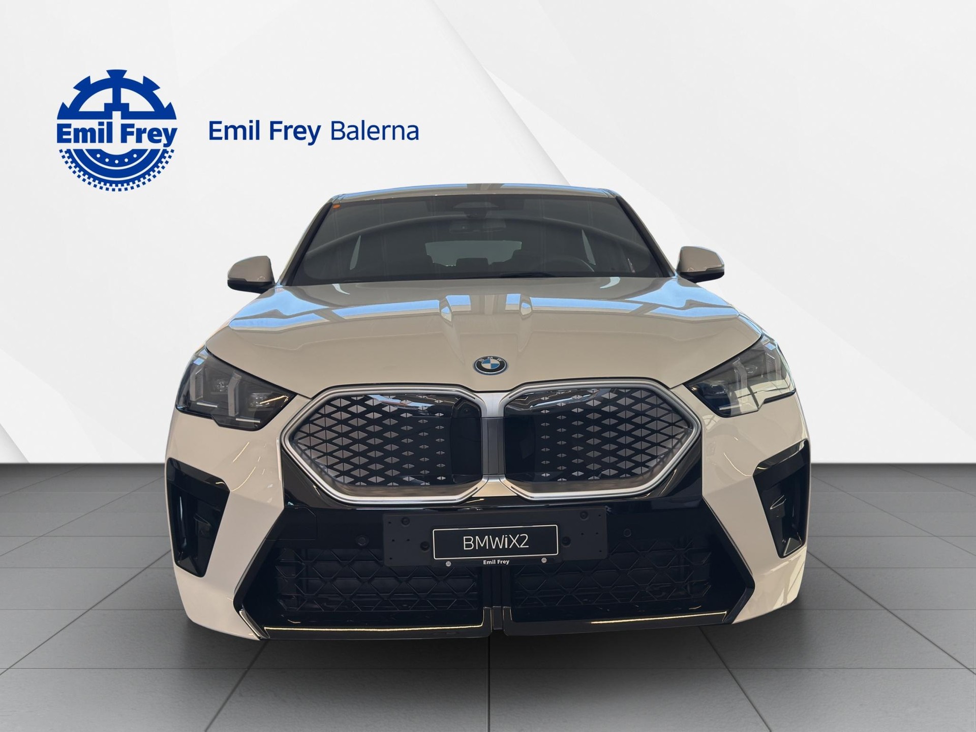 BMW iX2 xDrive 30-image-7