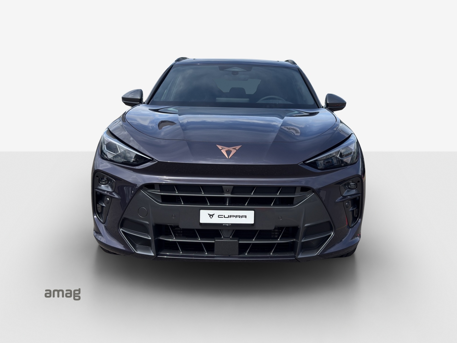 CUPRA Terramar 2.0 TSI DSG Prime Edition VZ 4Drive-image-6