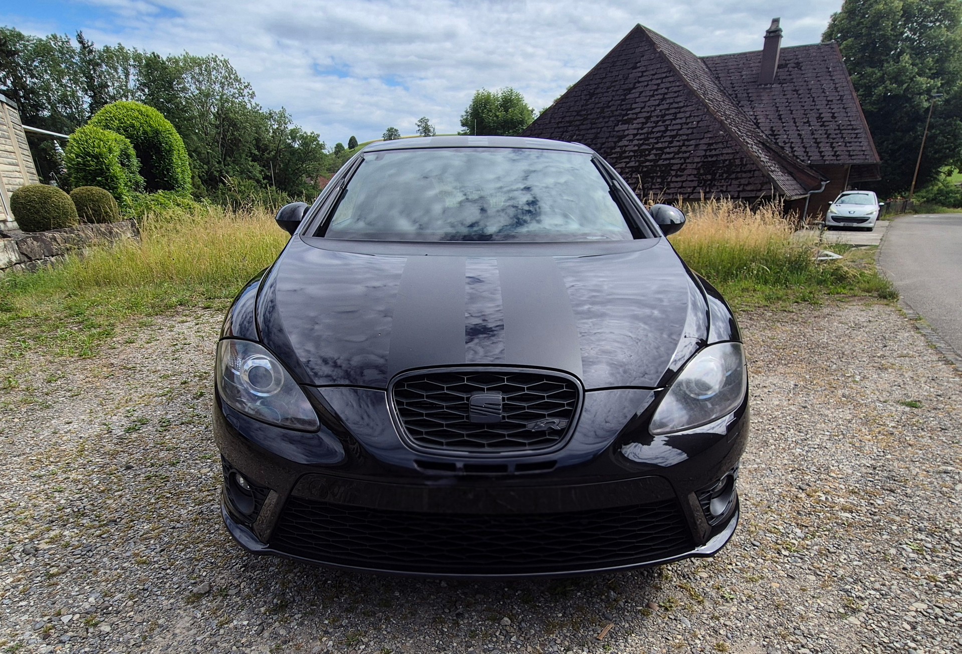 SEAT Leon Cupra r310-image-1