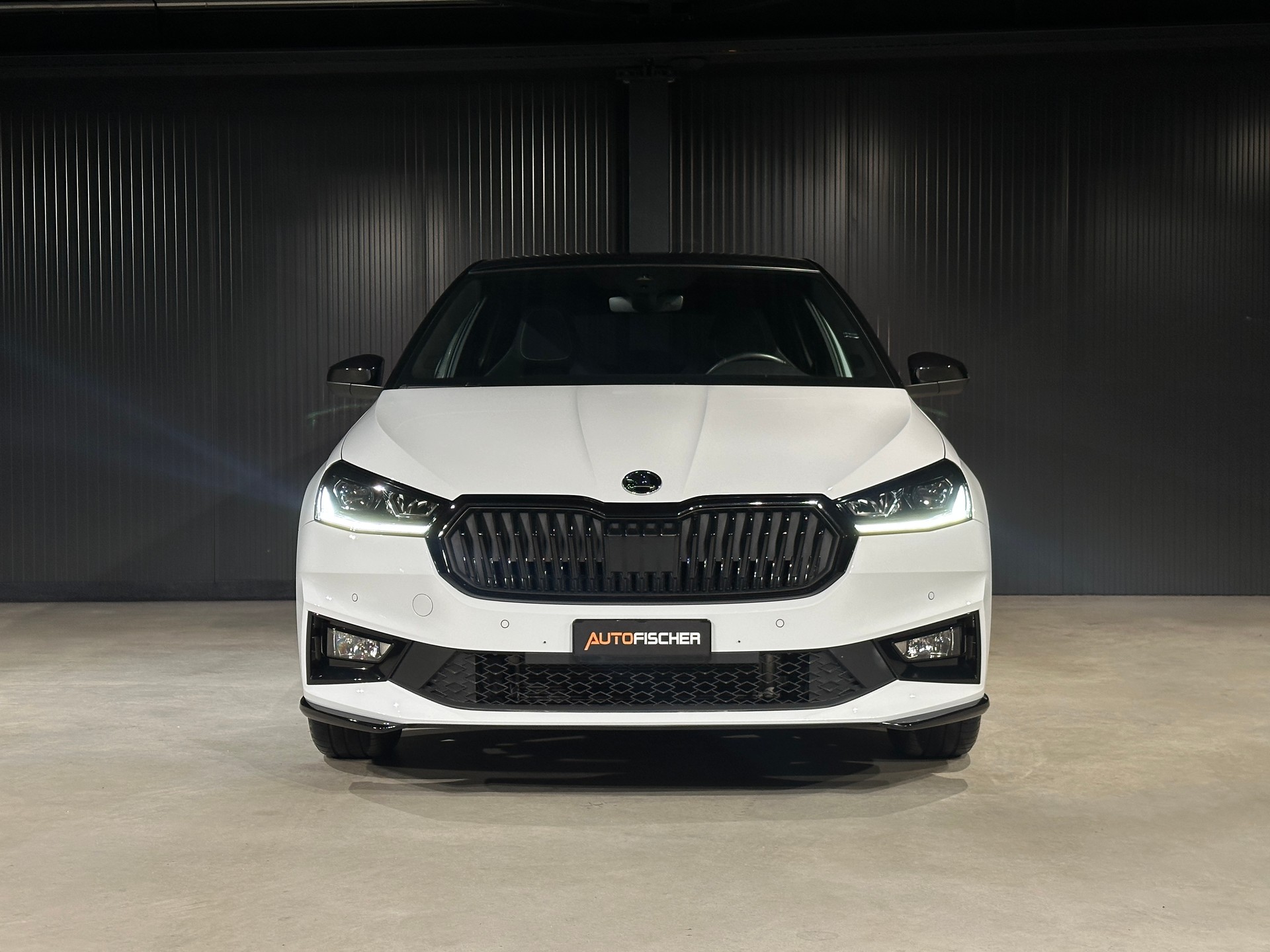 SKODA Fabia 1.0 TSI Monte Carlo DSG-image-2