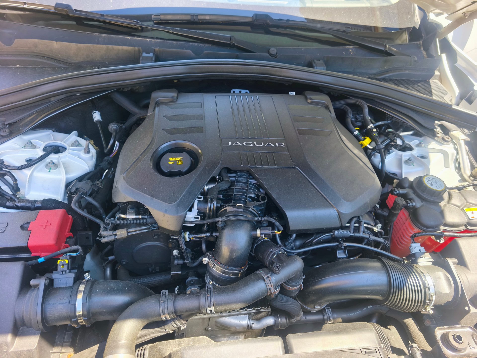 JAGUAR 30d AWD-image-3