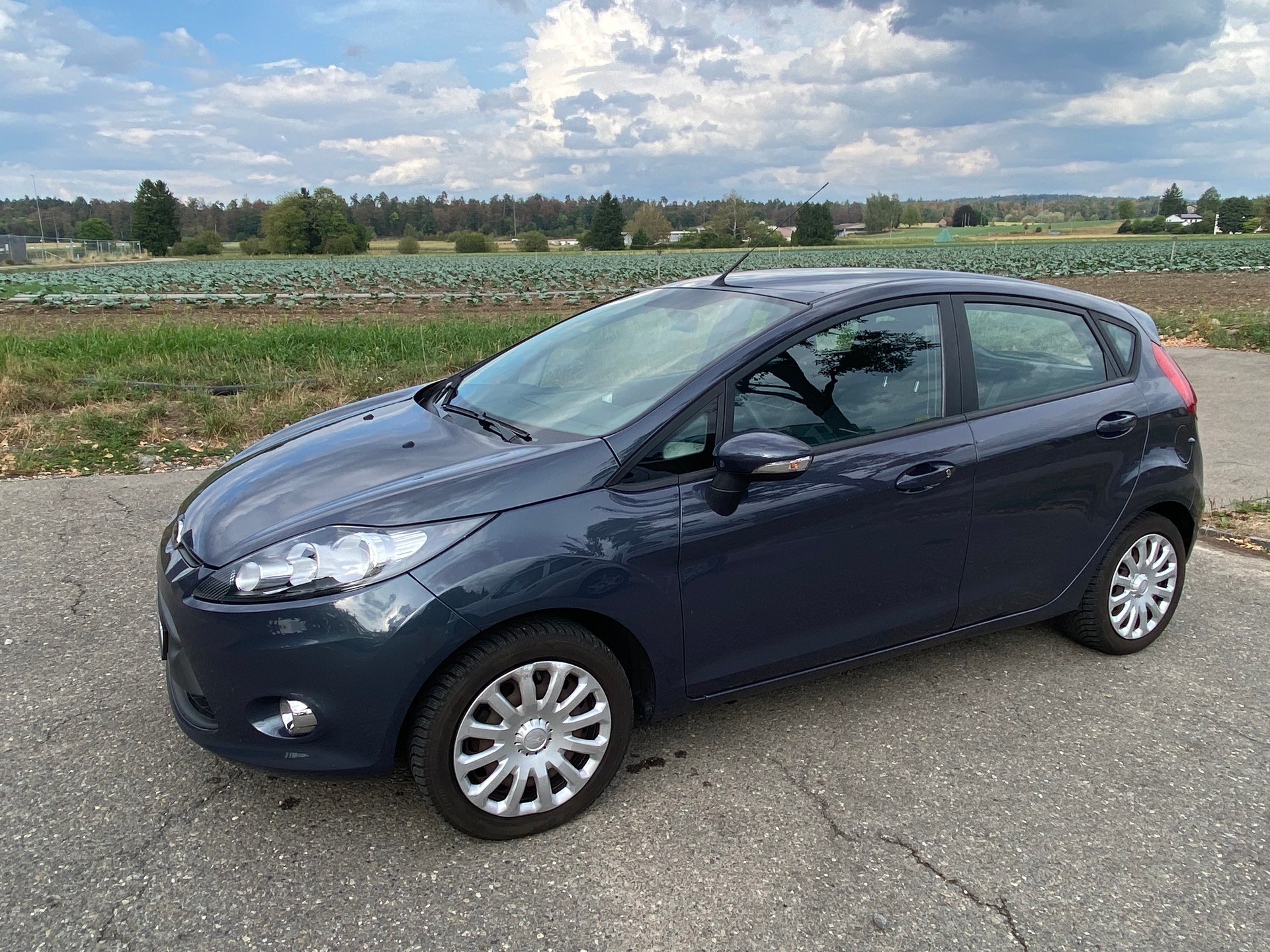 FORD FIESTA-image-0