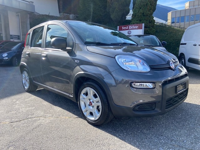 FIAT Panda 1.0 MHEV Cult-image-3