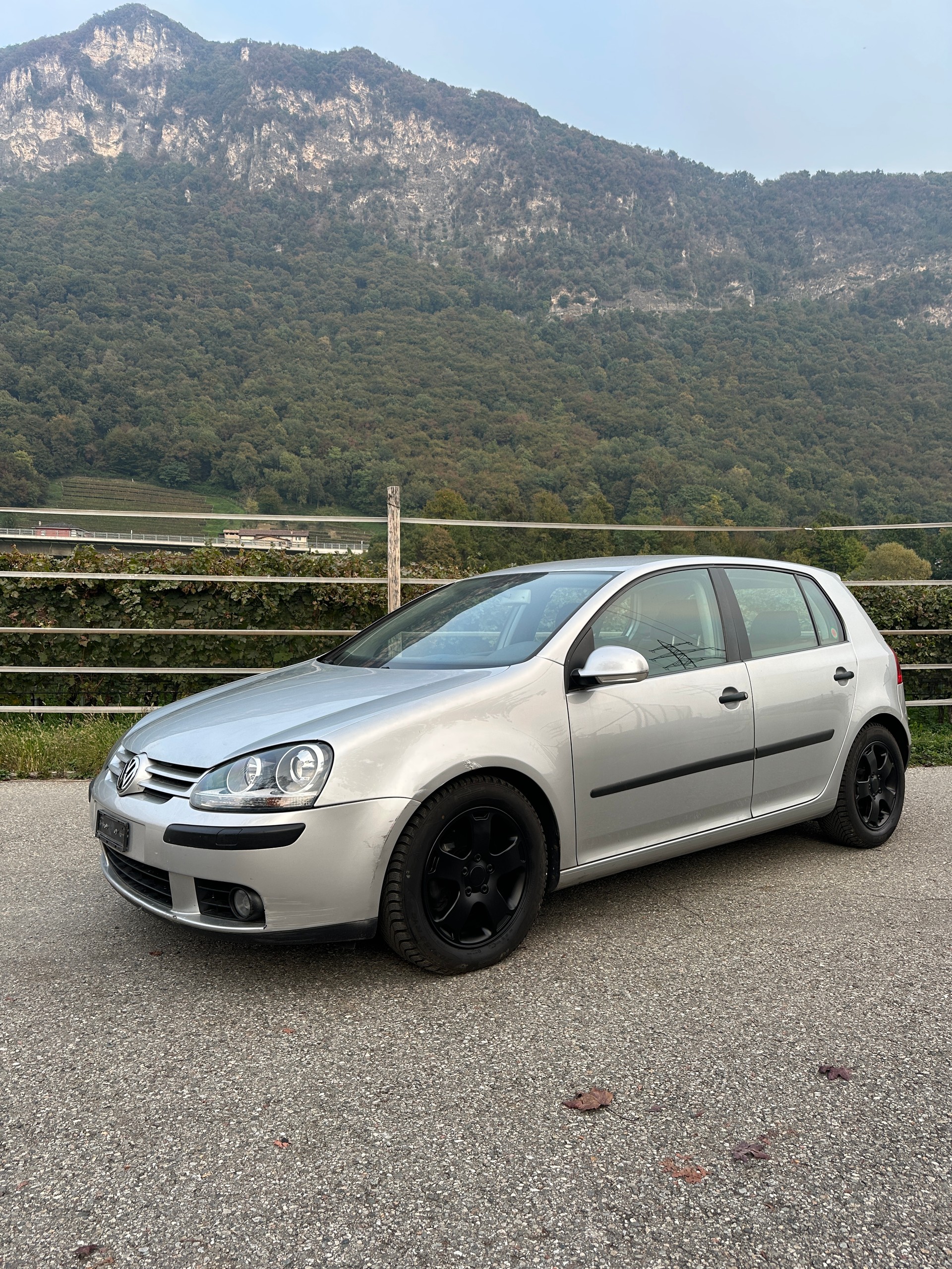 VW 2.0-image-1