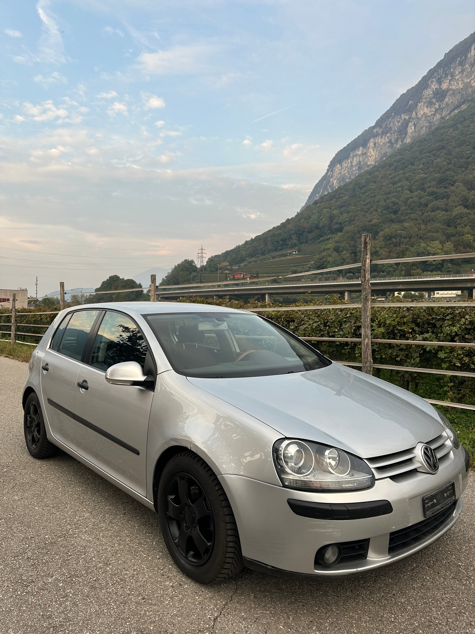VW 2.0-image-2