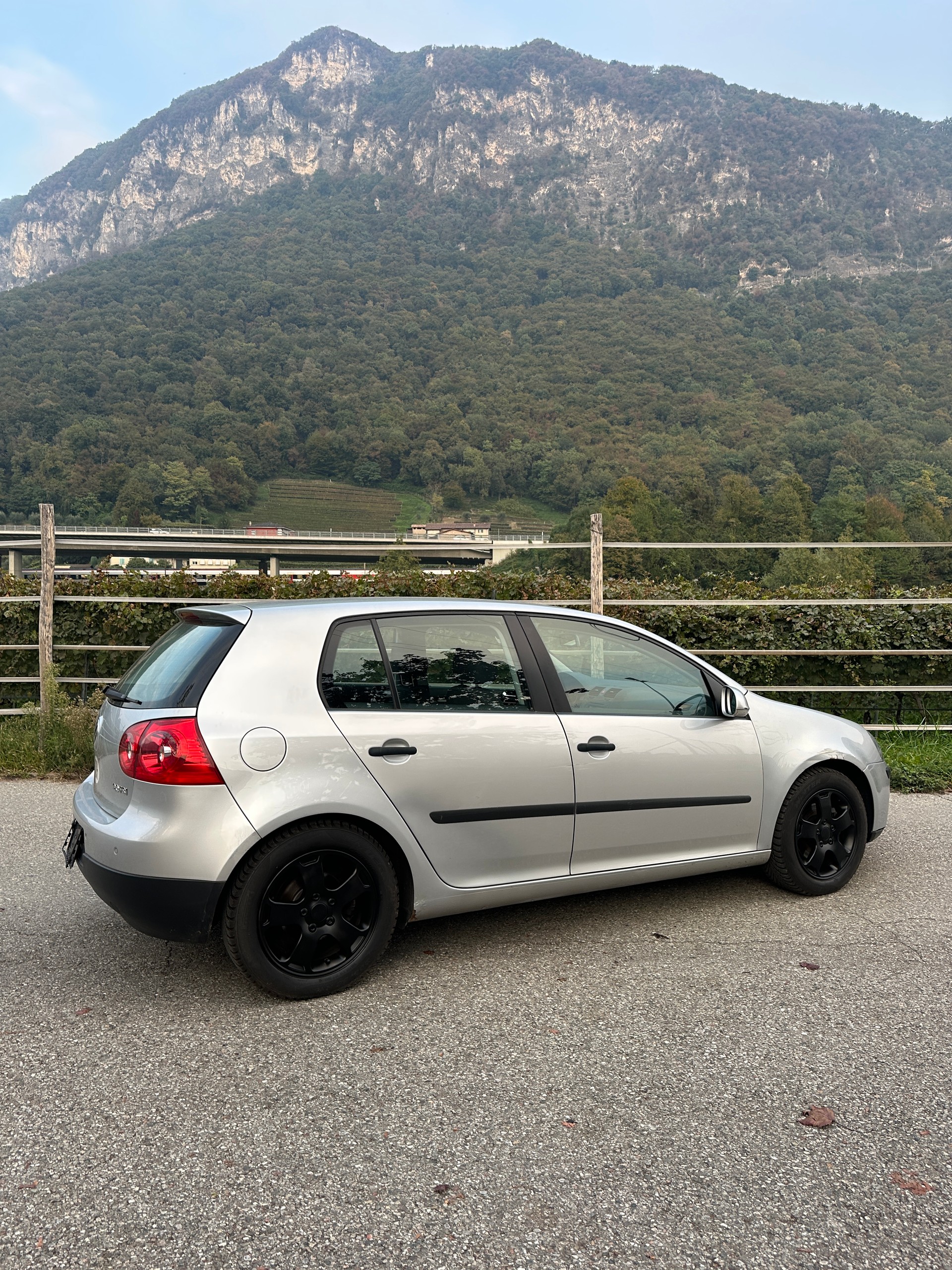 VW 2.0-image-5