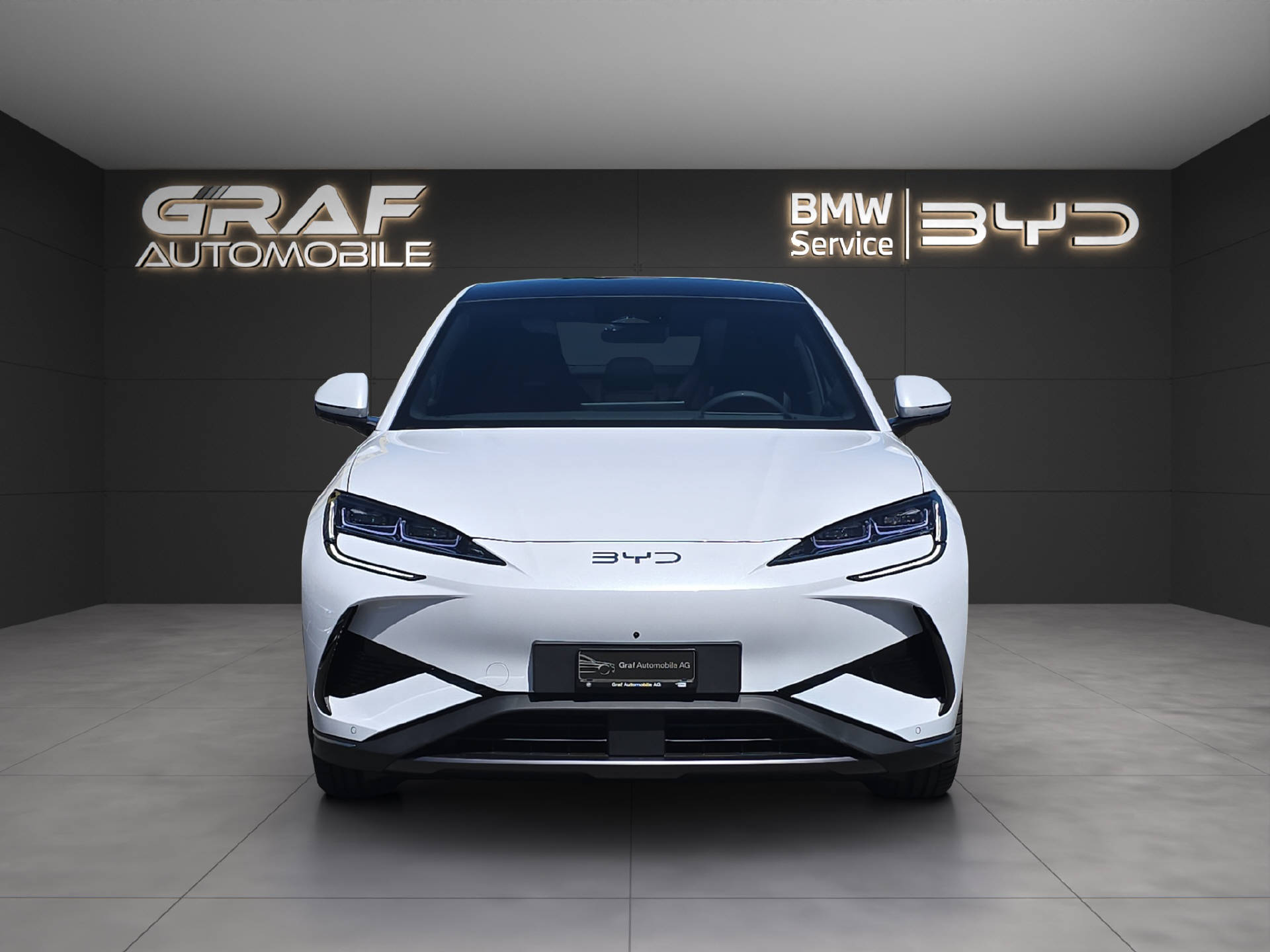 BYD Sealion 7 Excellence-showroom-element-1