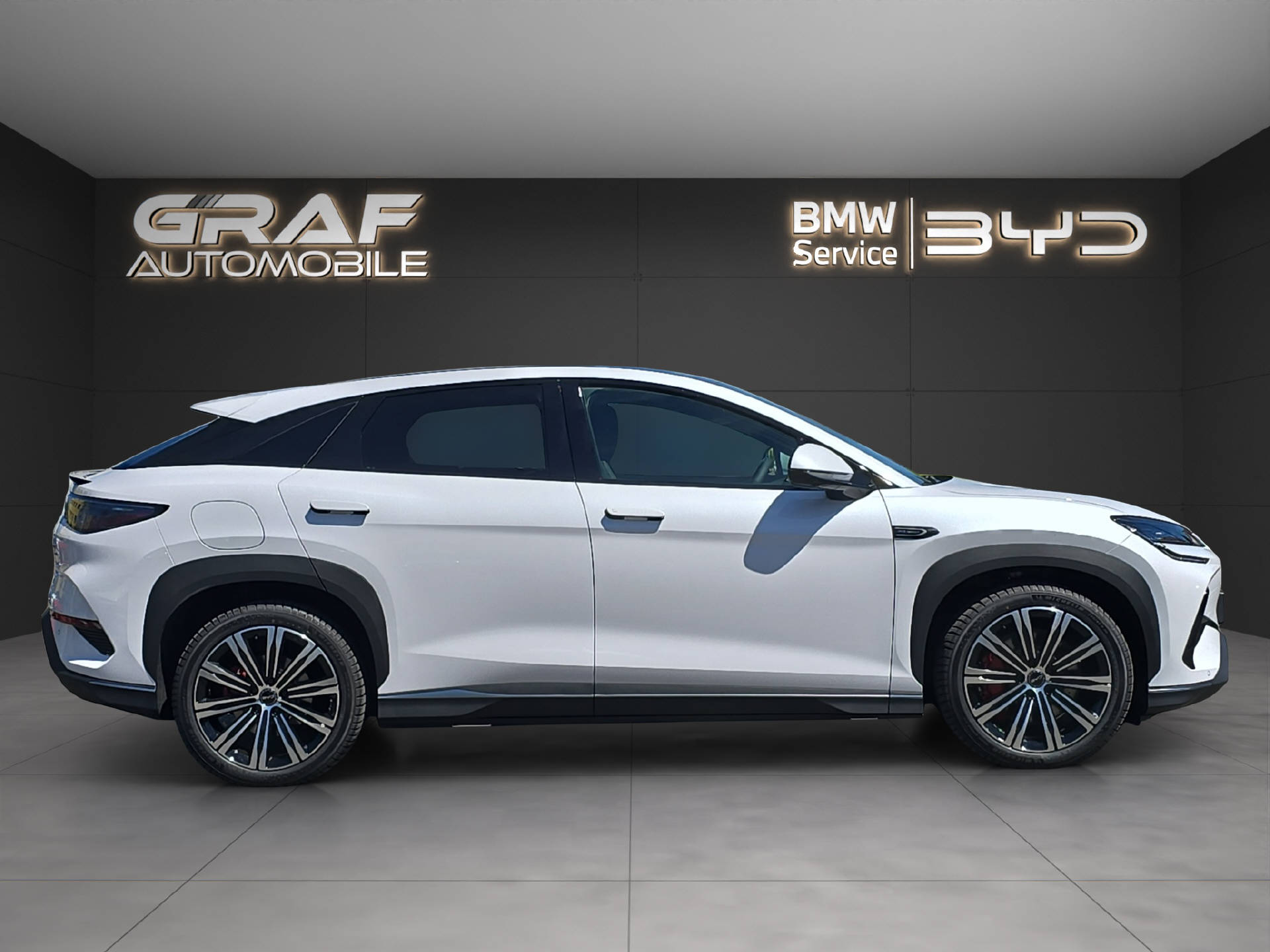 BYD Sealion 7 Excellence-showroom-element-3