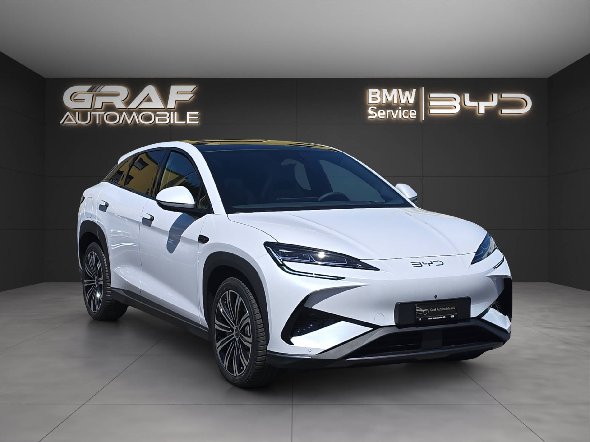 BYD Sealion 7 Excellence-showroom-element-2