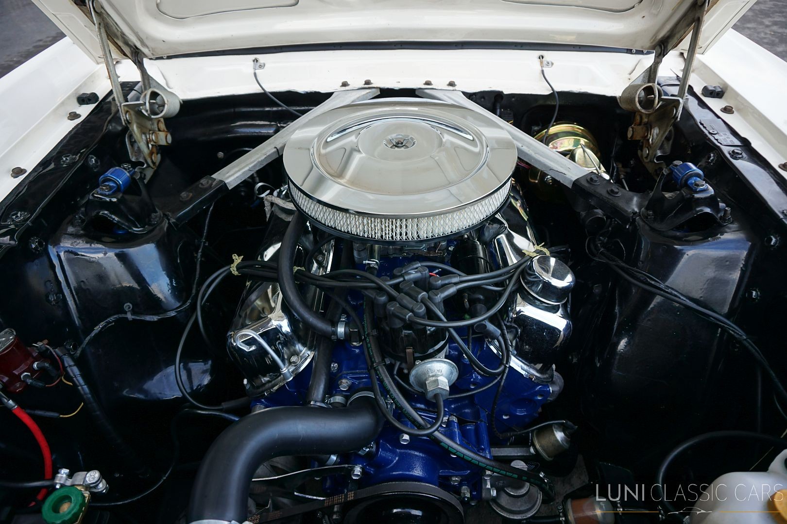 FORD Mustang-image-13
