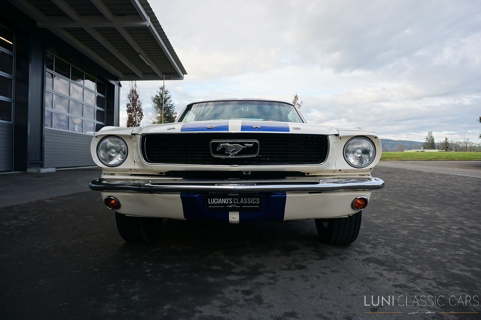 FORD Mustang-image-5