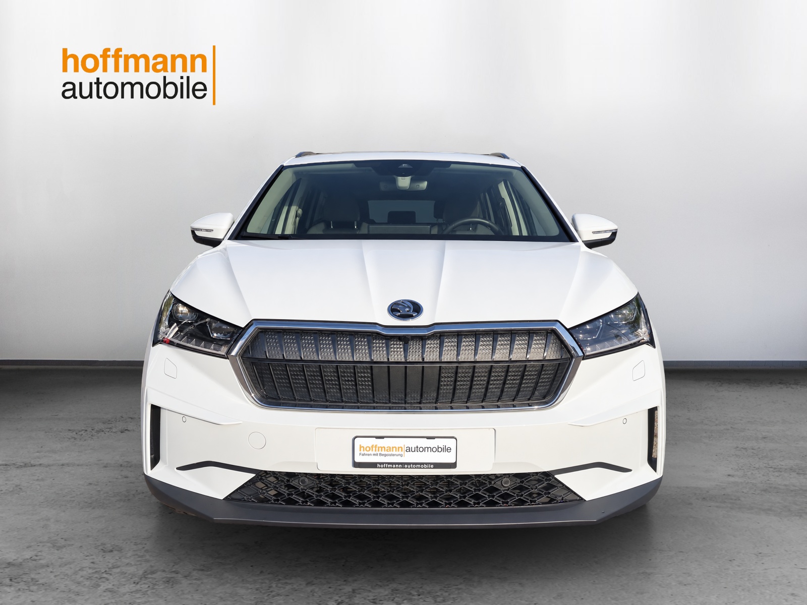 SKODA Enyaq iV 60-image-1