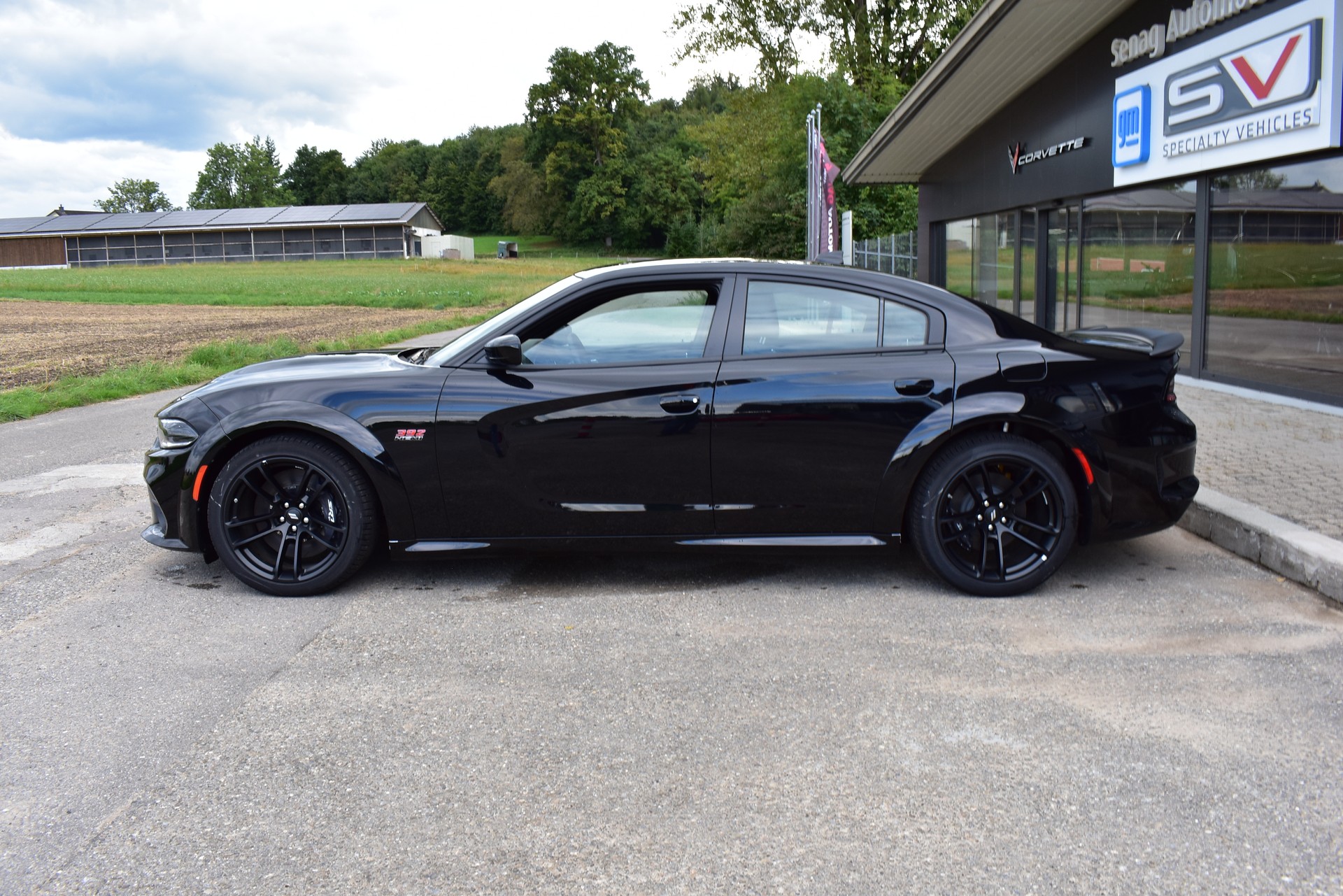 DODGE Charger R/T Scat Pack Widebody-image-3