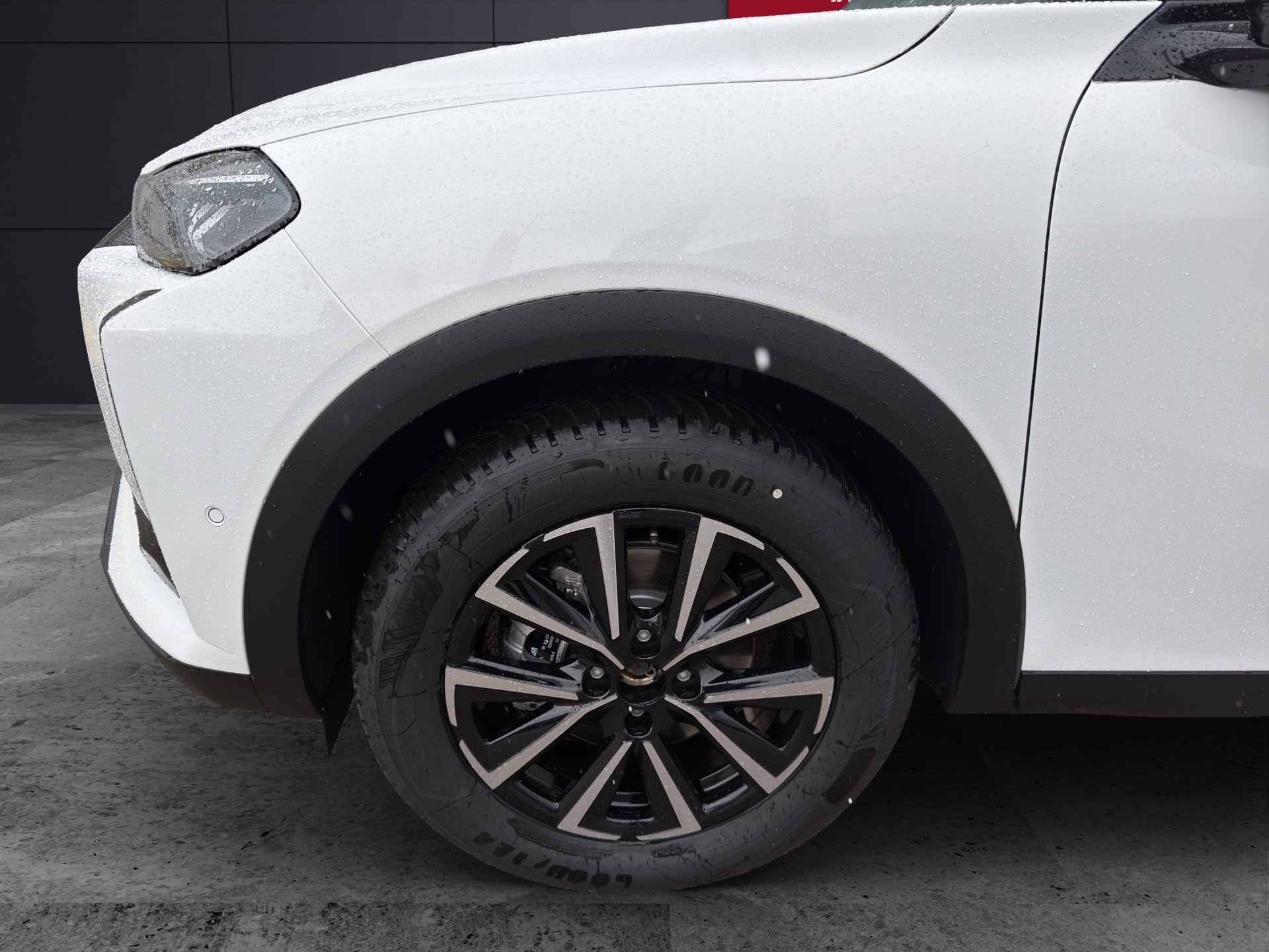 DS AUTOMOBILES DS3 1.2 MHEV Performance-image-4