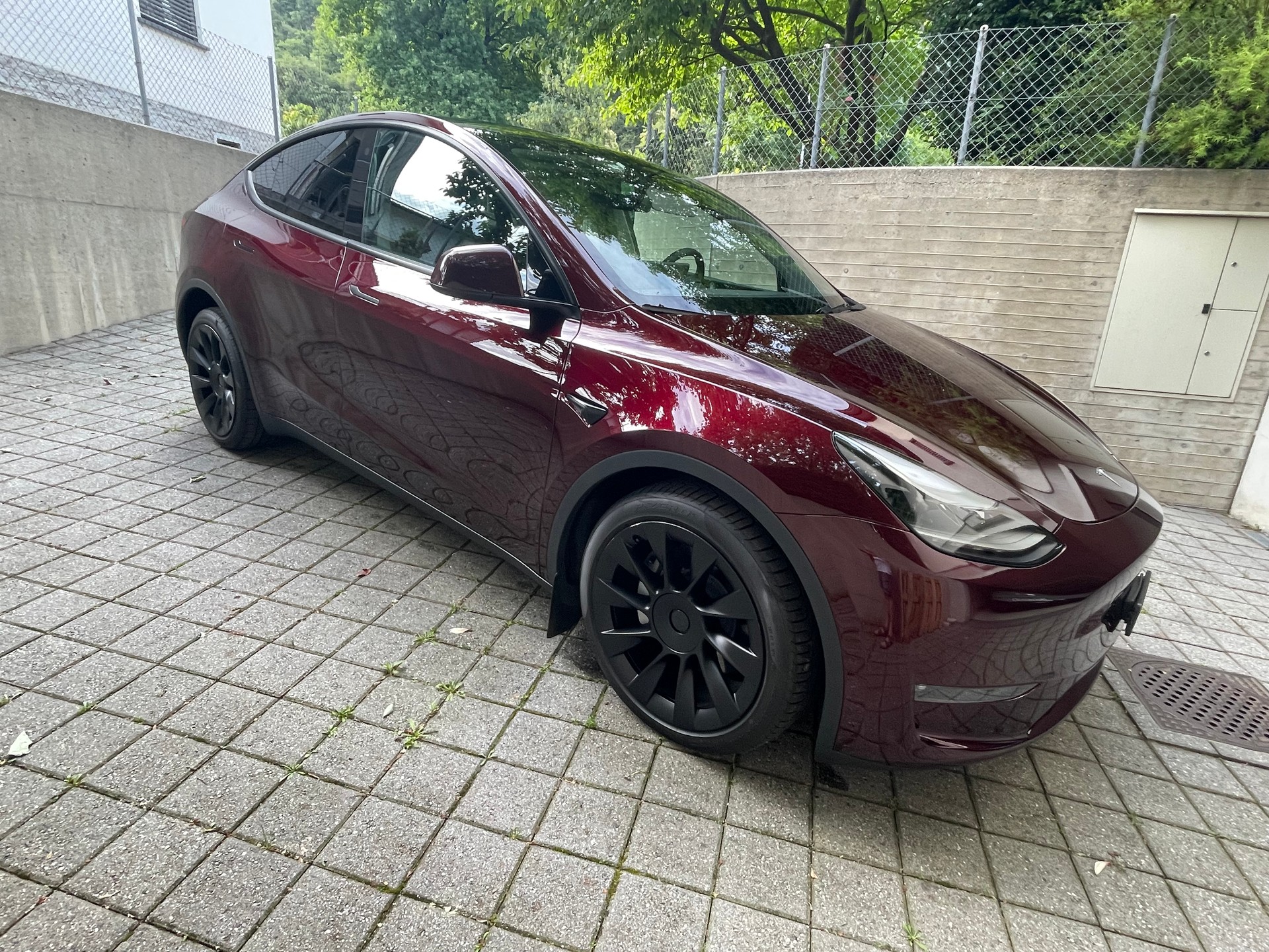 TESLA Long Range AWD-image-1
