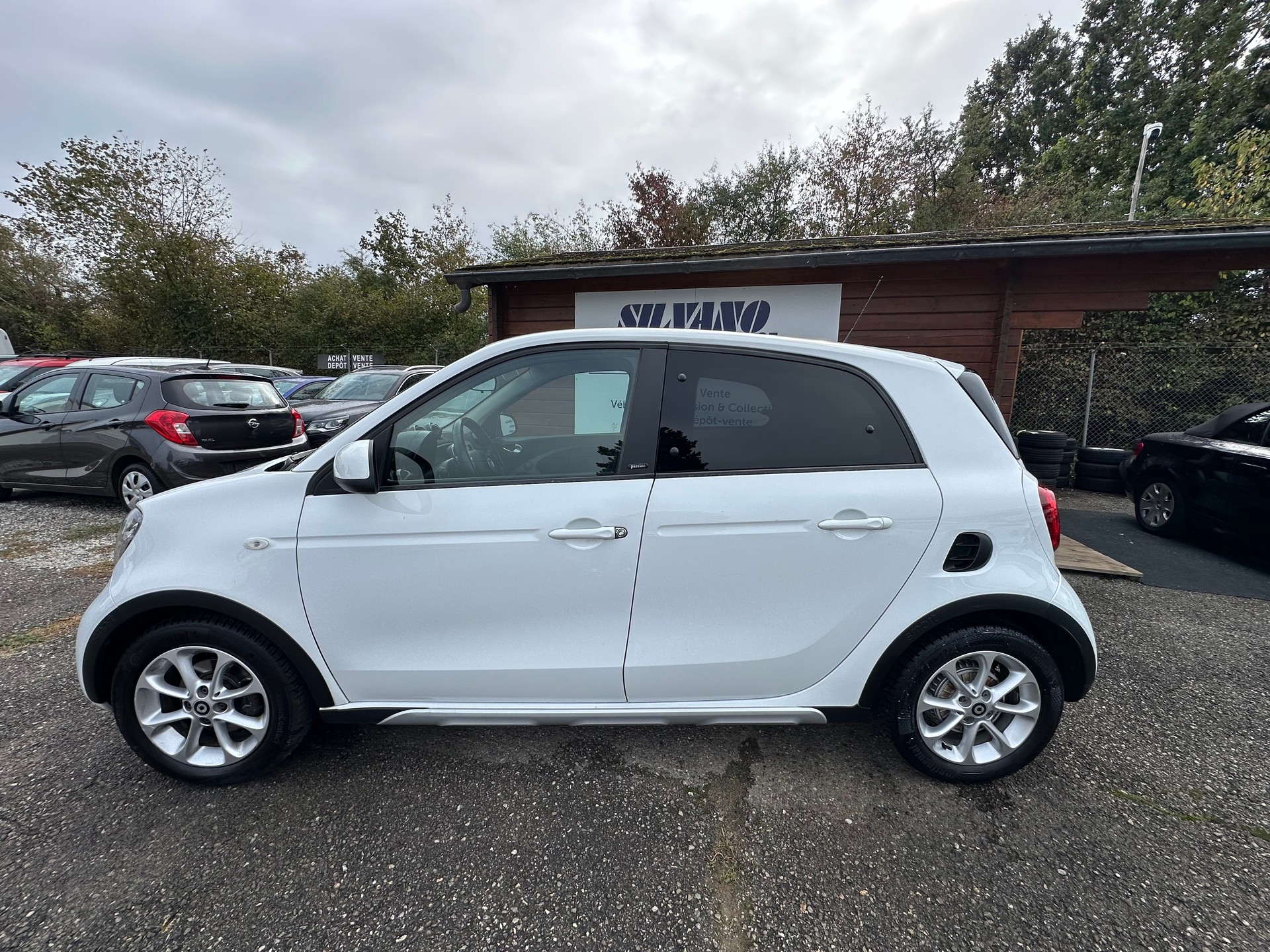 SMART forfour passion twinmatic-image-5