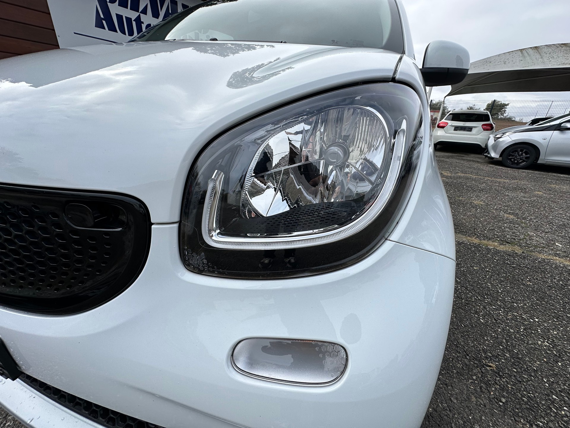 SMART forfour passion twinmatic-image-31