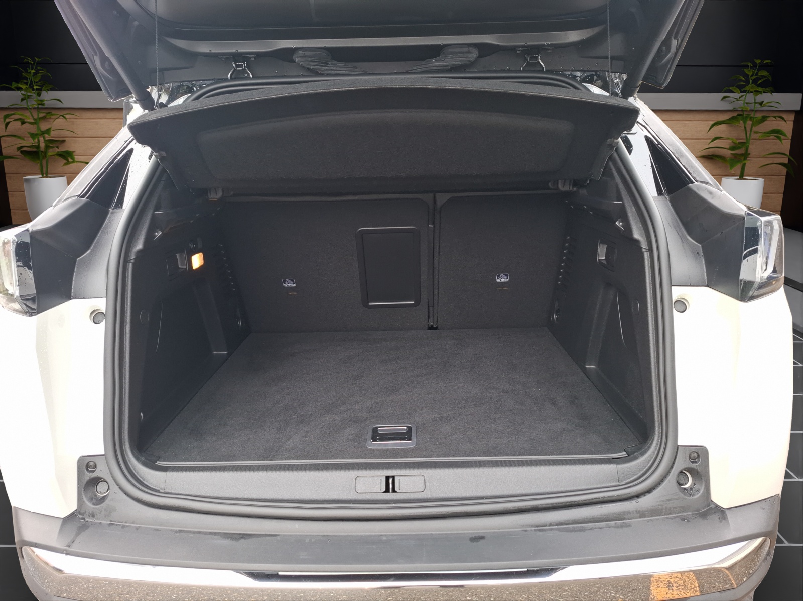 PEUGEOT 3008 300e Hybrid4 GT P-image-8