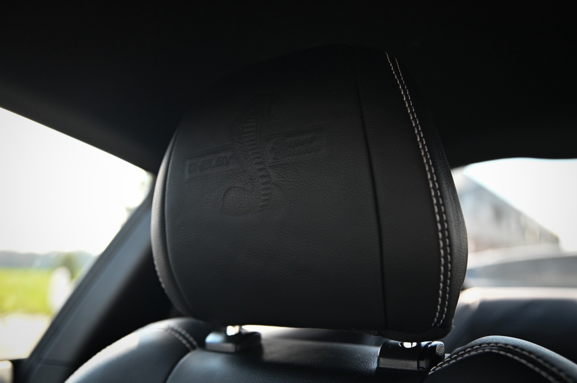 FORD Shelby SuperSnake-image-9