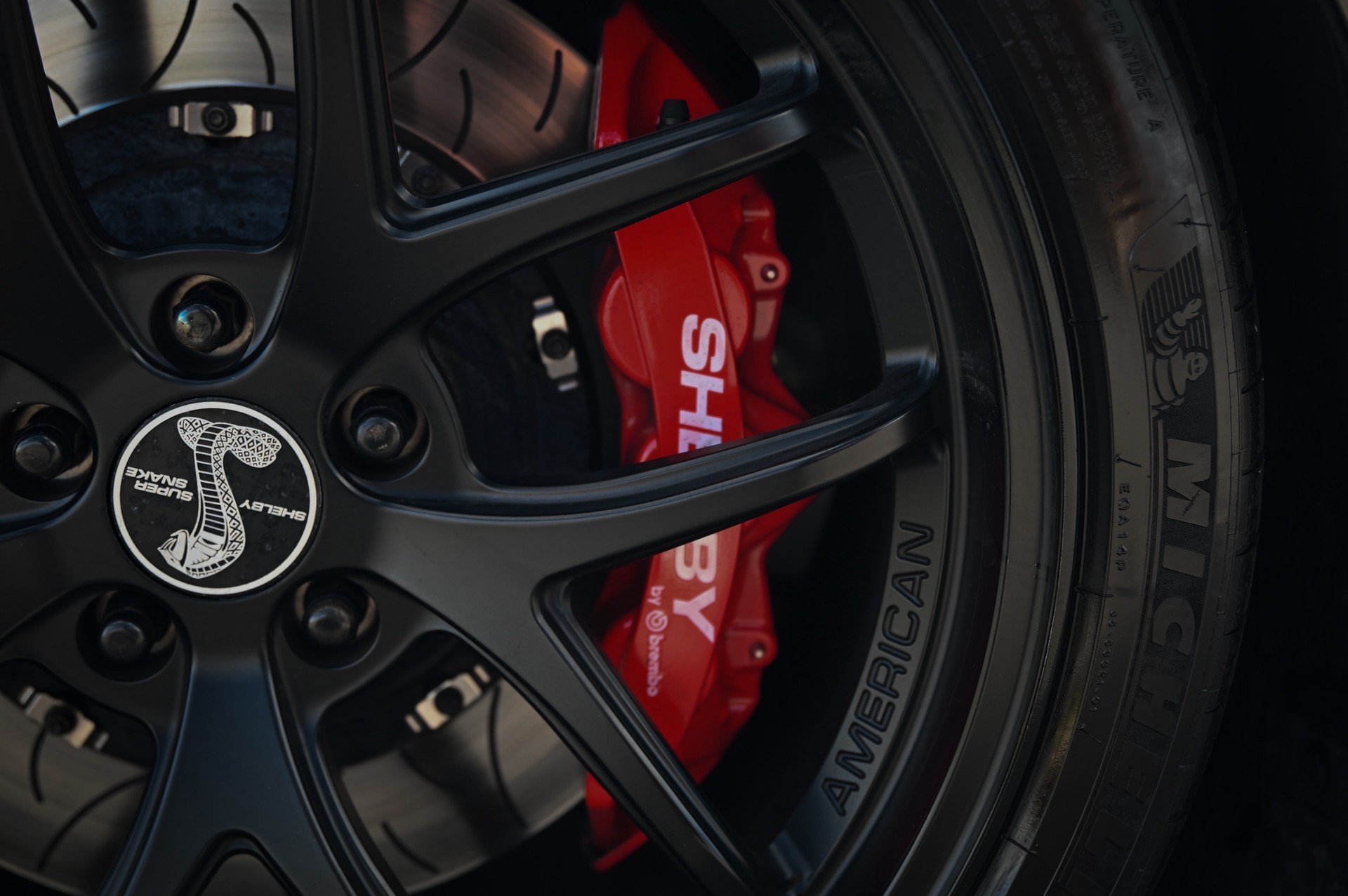 FORD Shelby SuperSnake-image-12