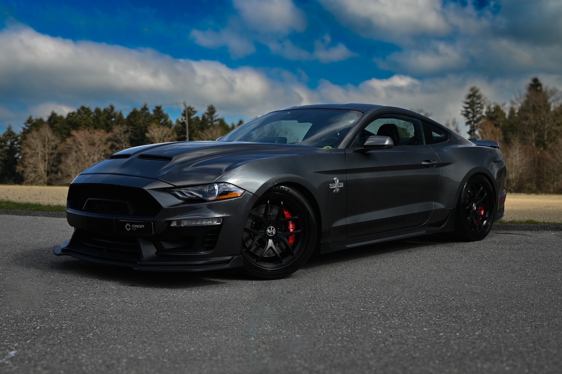 FORD Shelby SuperSnake