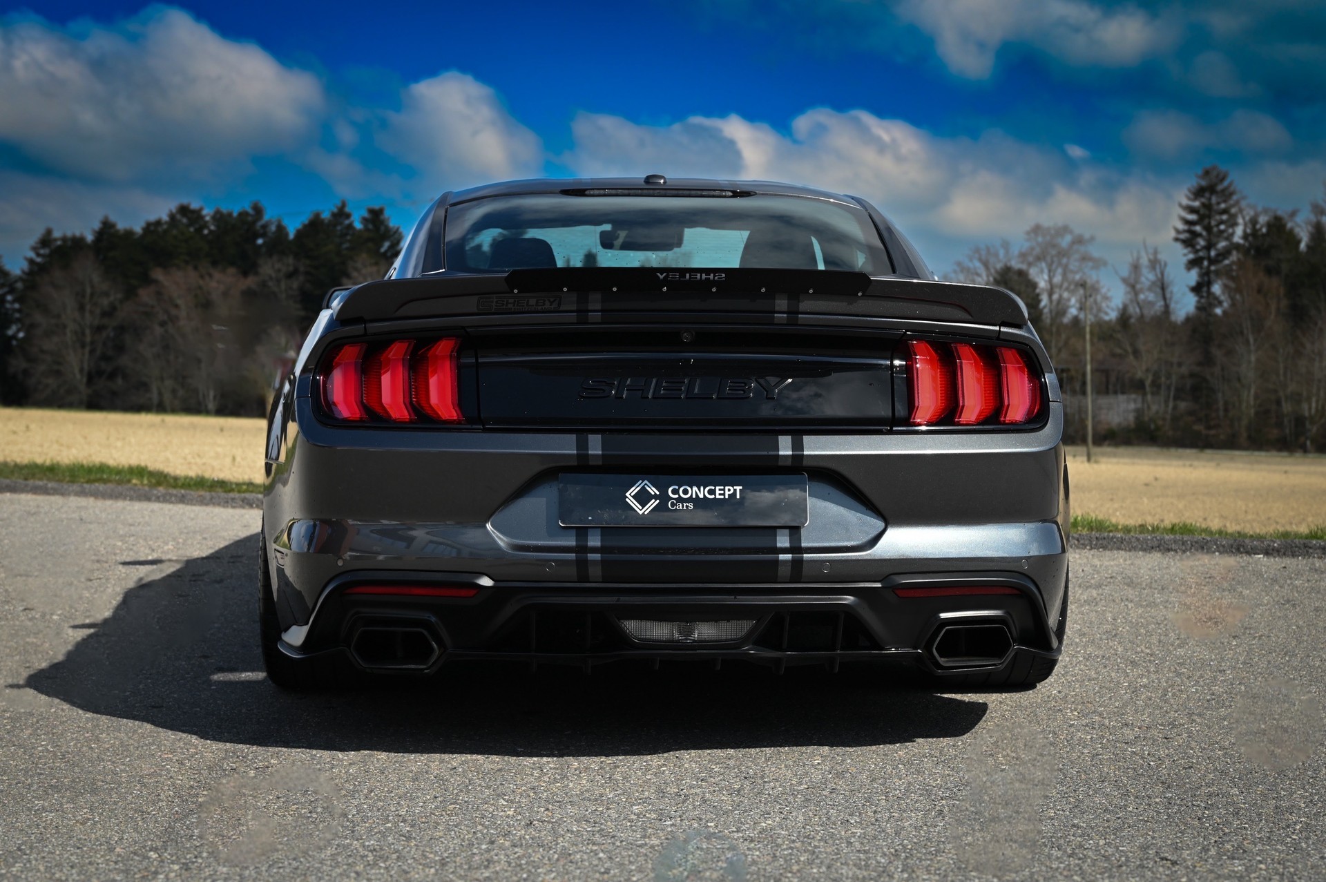 FORD Shelby SuperSnake-image-2