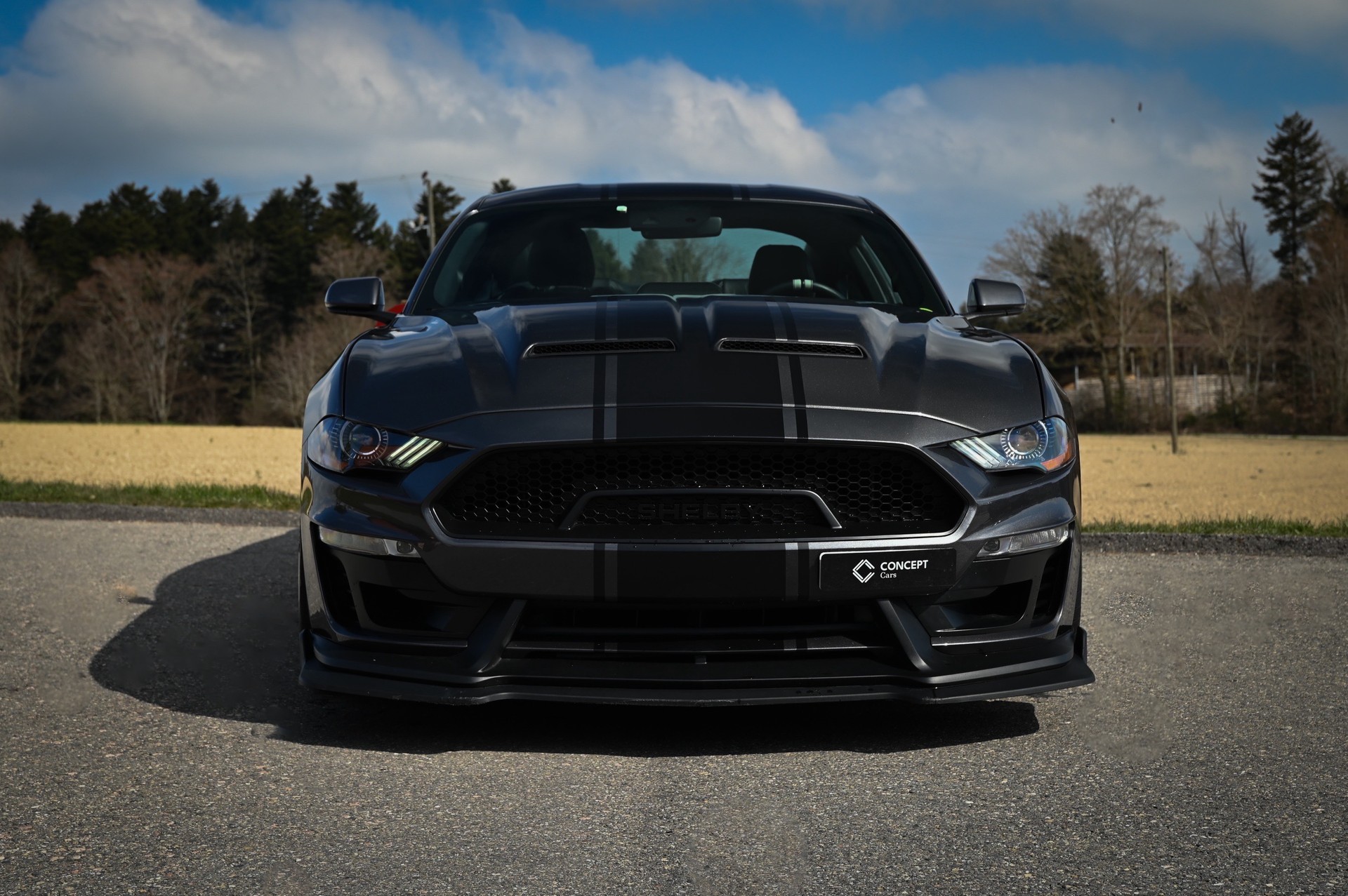 FORD Shelby SuperSnake-image-1