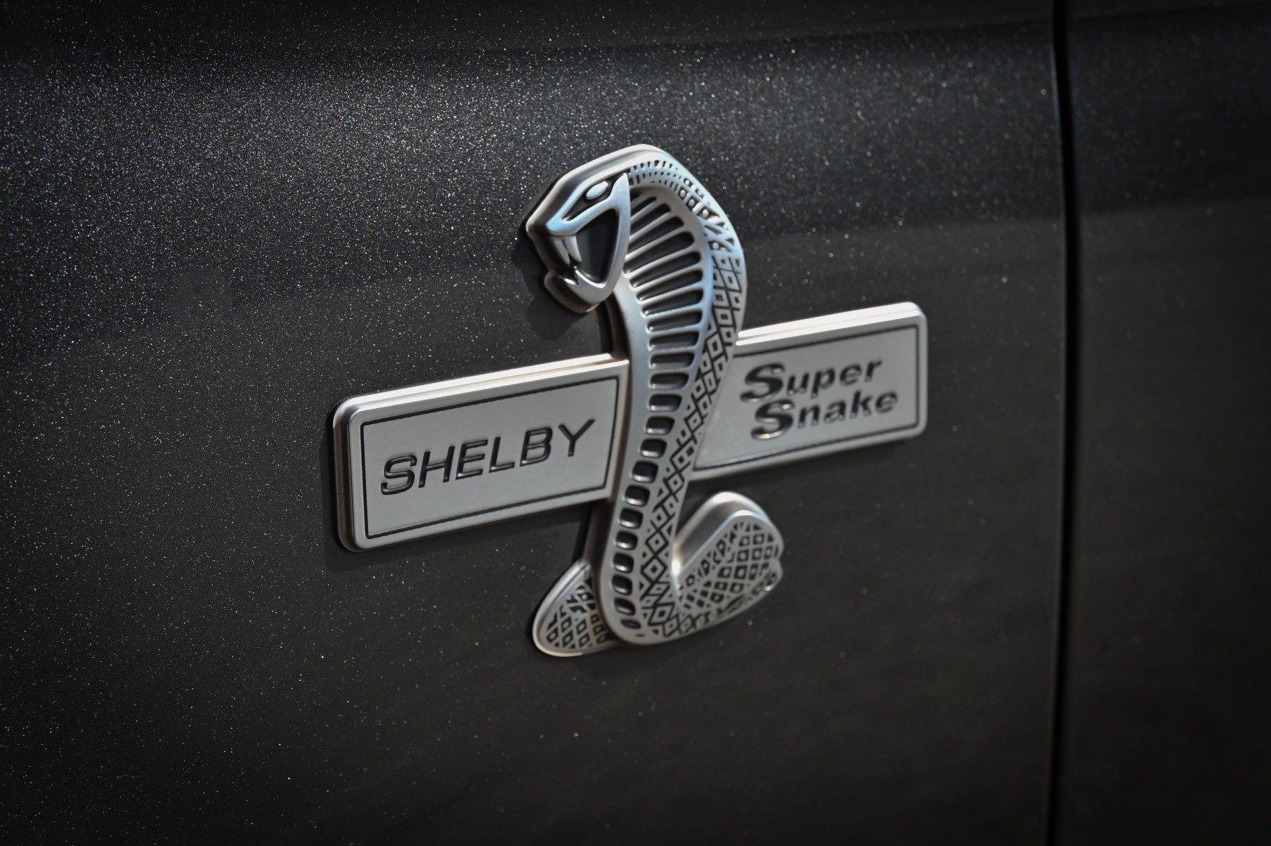 FORD Shelby SuperSnake-image-13