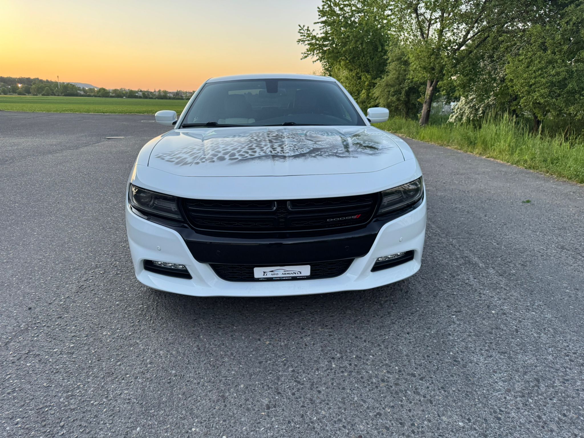 Car photo