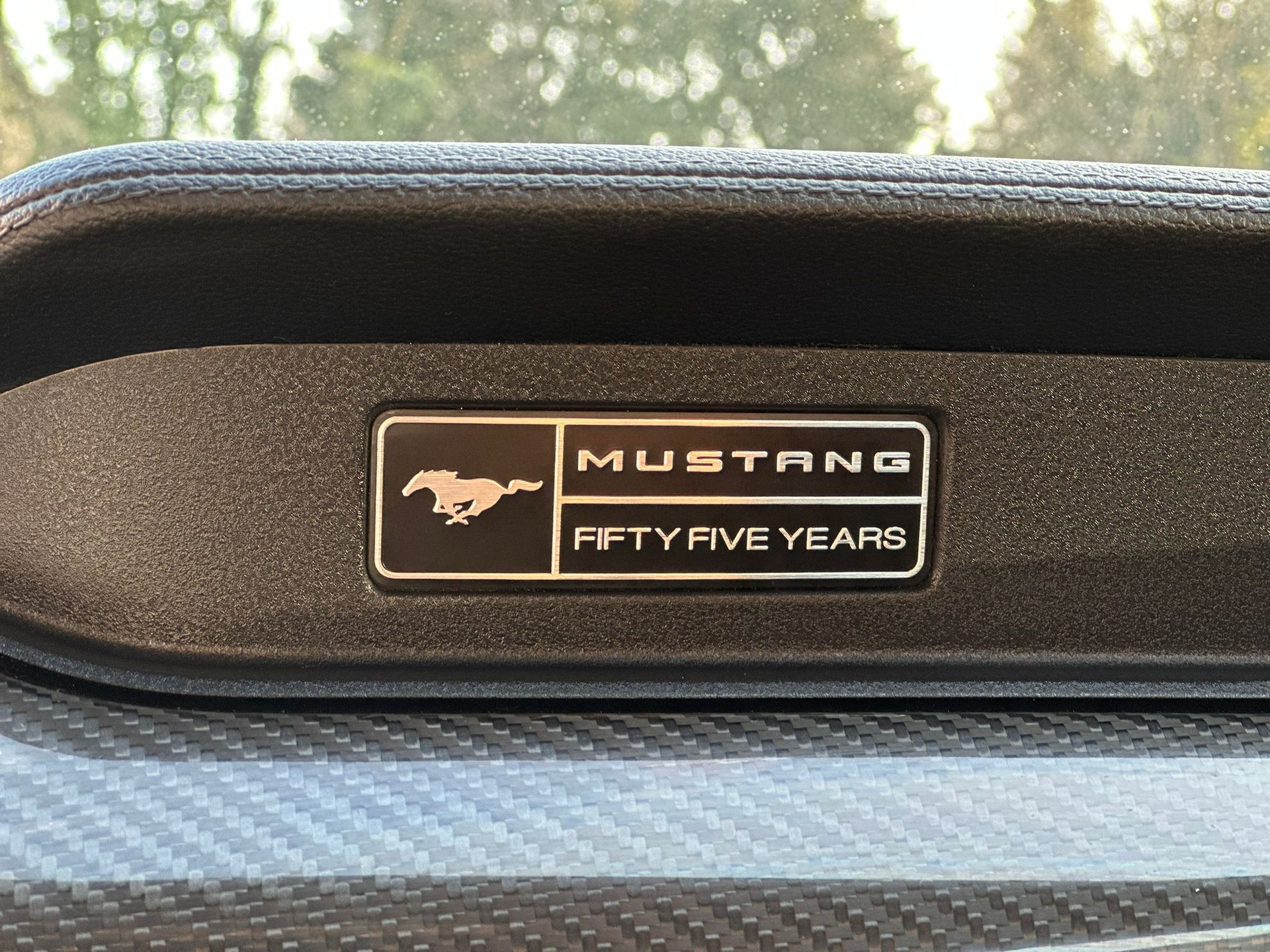 FORD Mustang Fastback 5.0 V8 GT 55 Years Automat-image-15