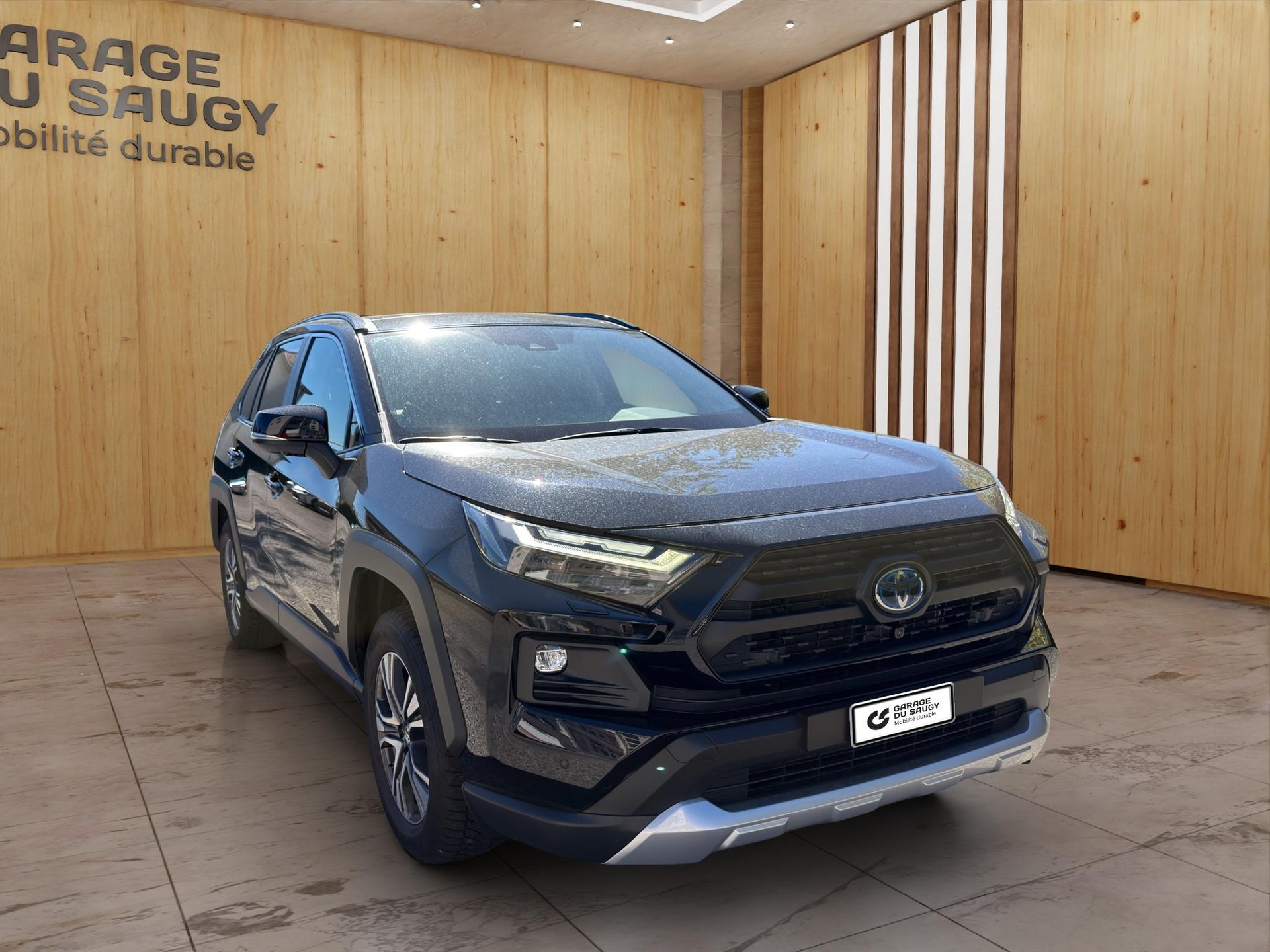TOYOTA RAV4 2.5 HEV Adventure-image-7