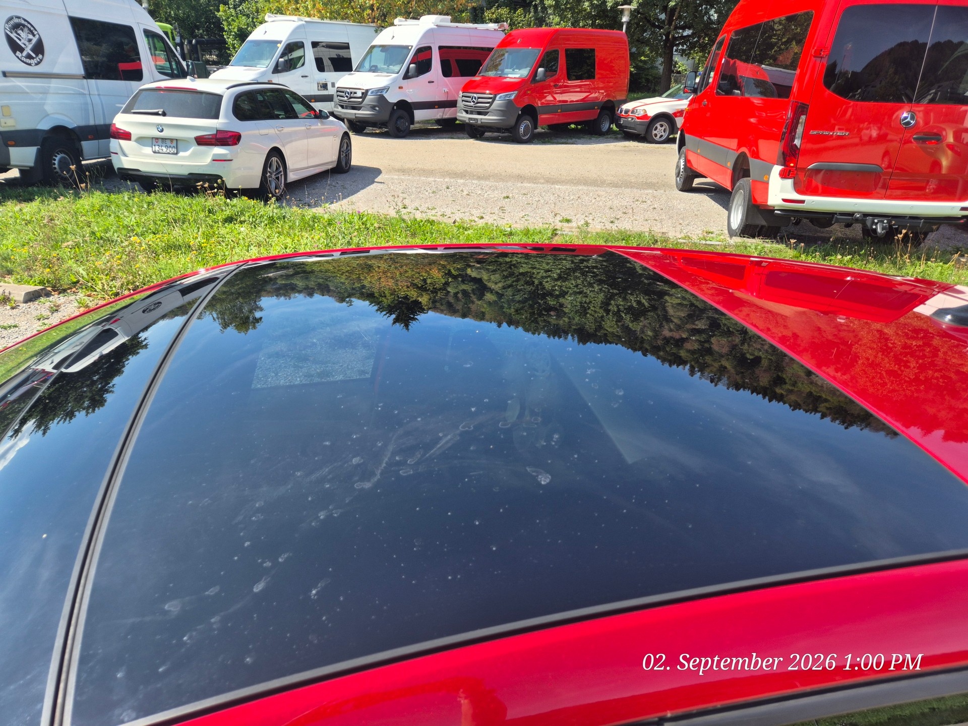 SEAT 1.0 TSI 110 Hola FR DSG-image-2