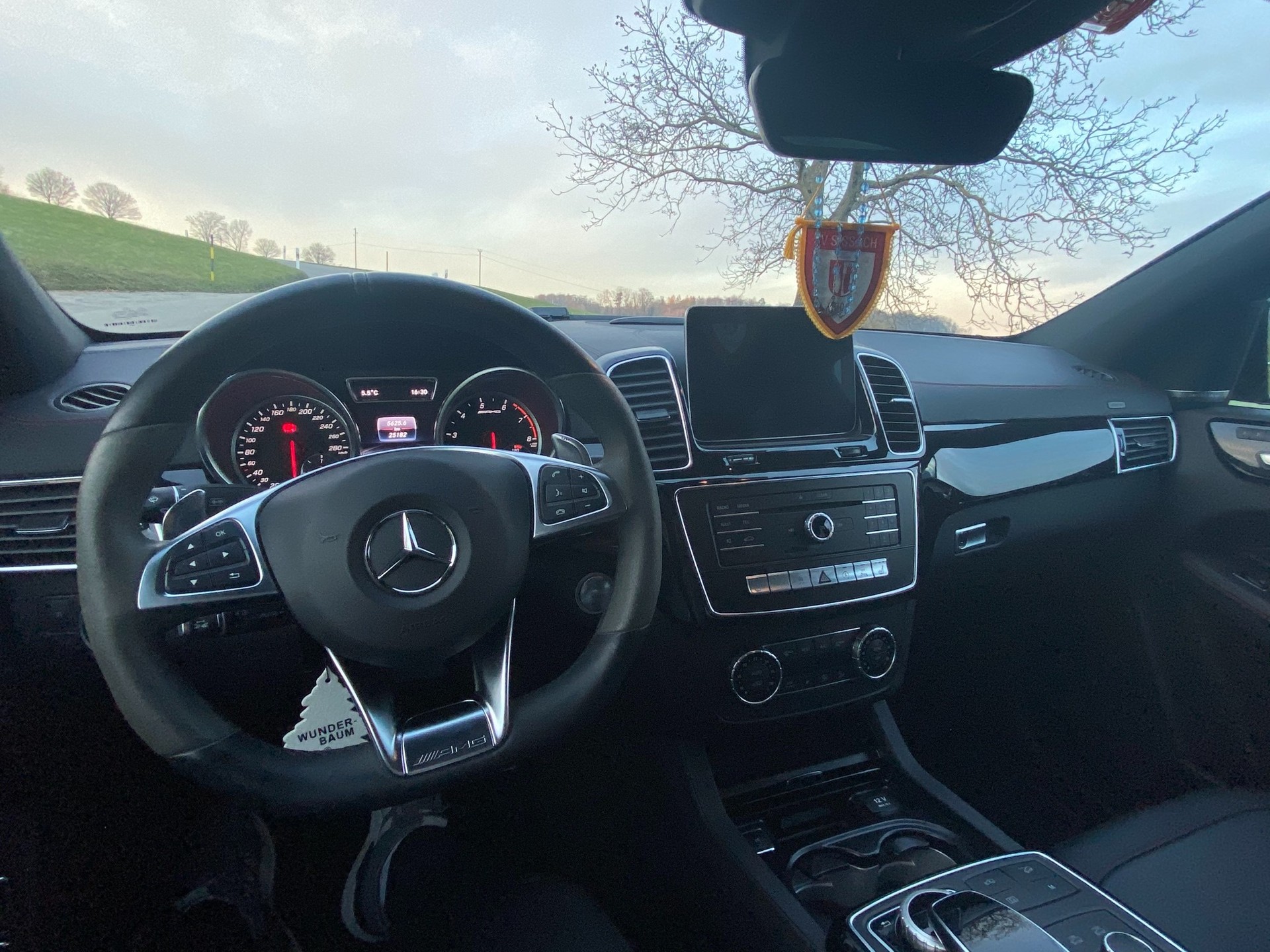 MERCEDES-BENZ GLE Coupé 43 AMG 4Matic 9G-Tronic-image-15