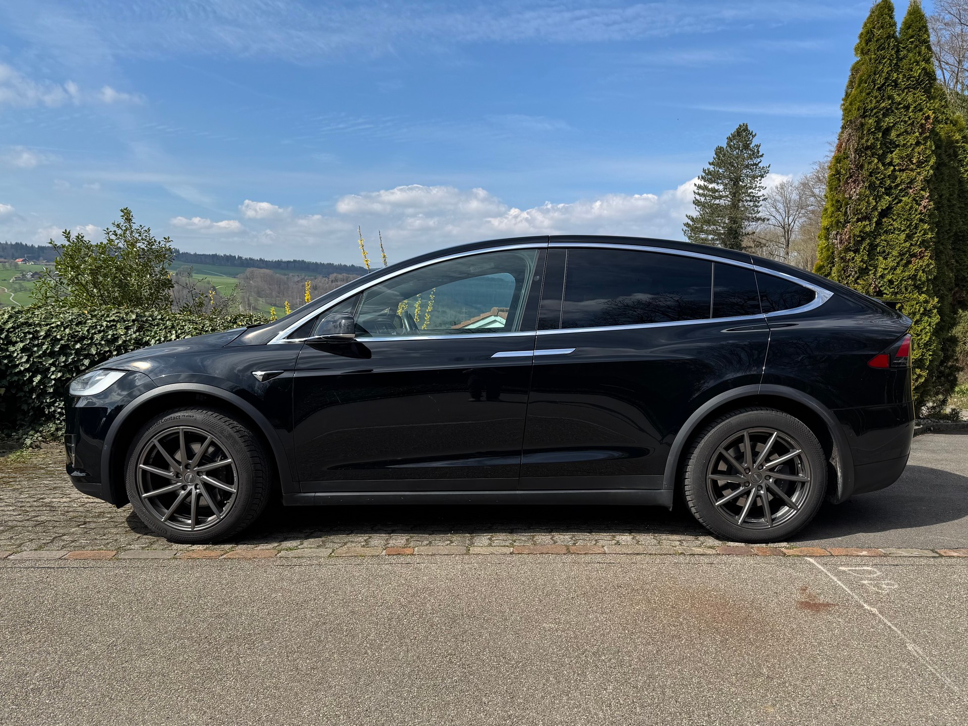 TESLA Model X 100 D-image-1