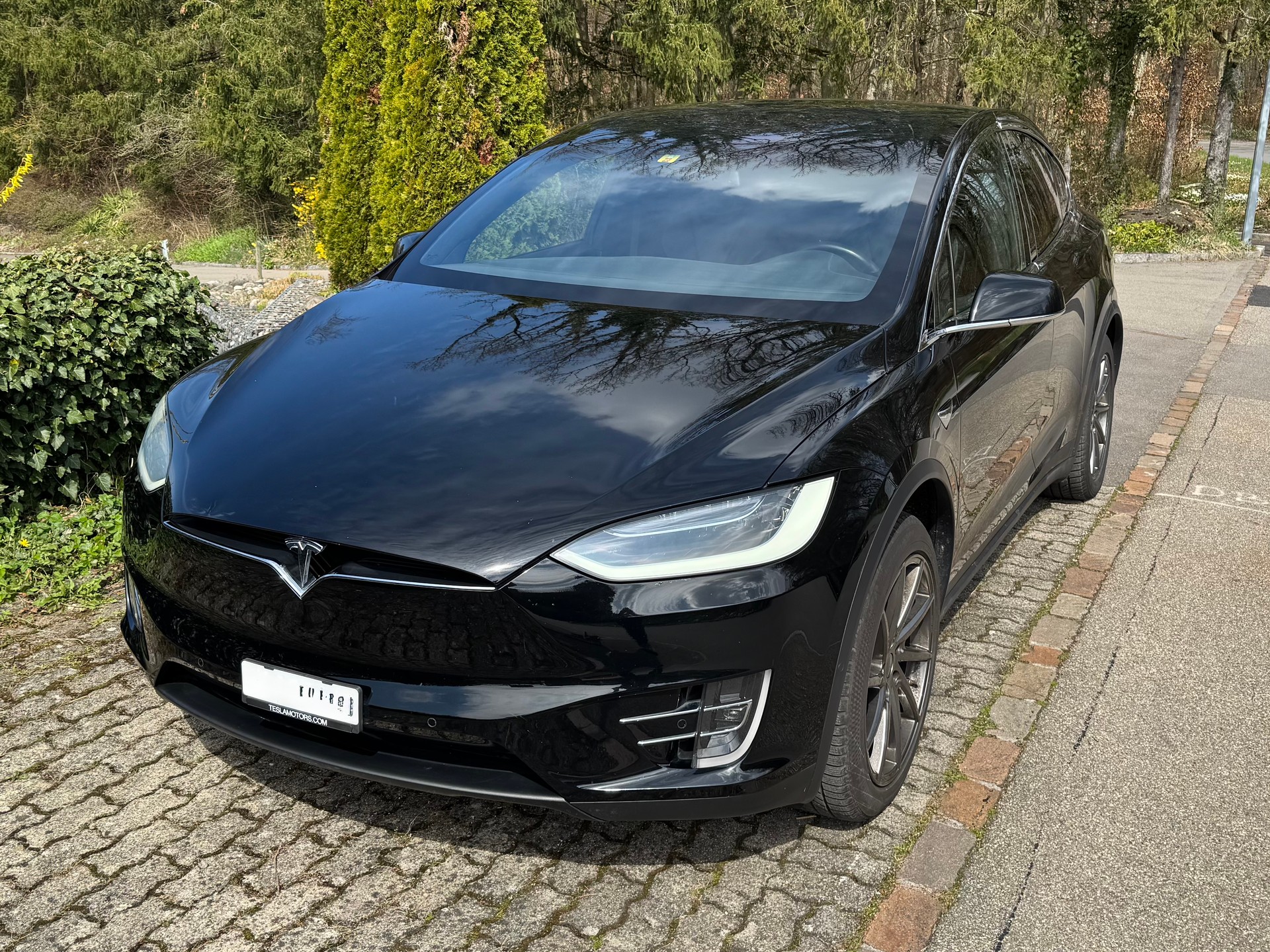 TESLA Model X 100 D