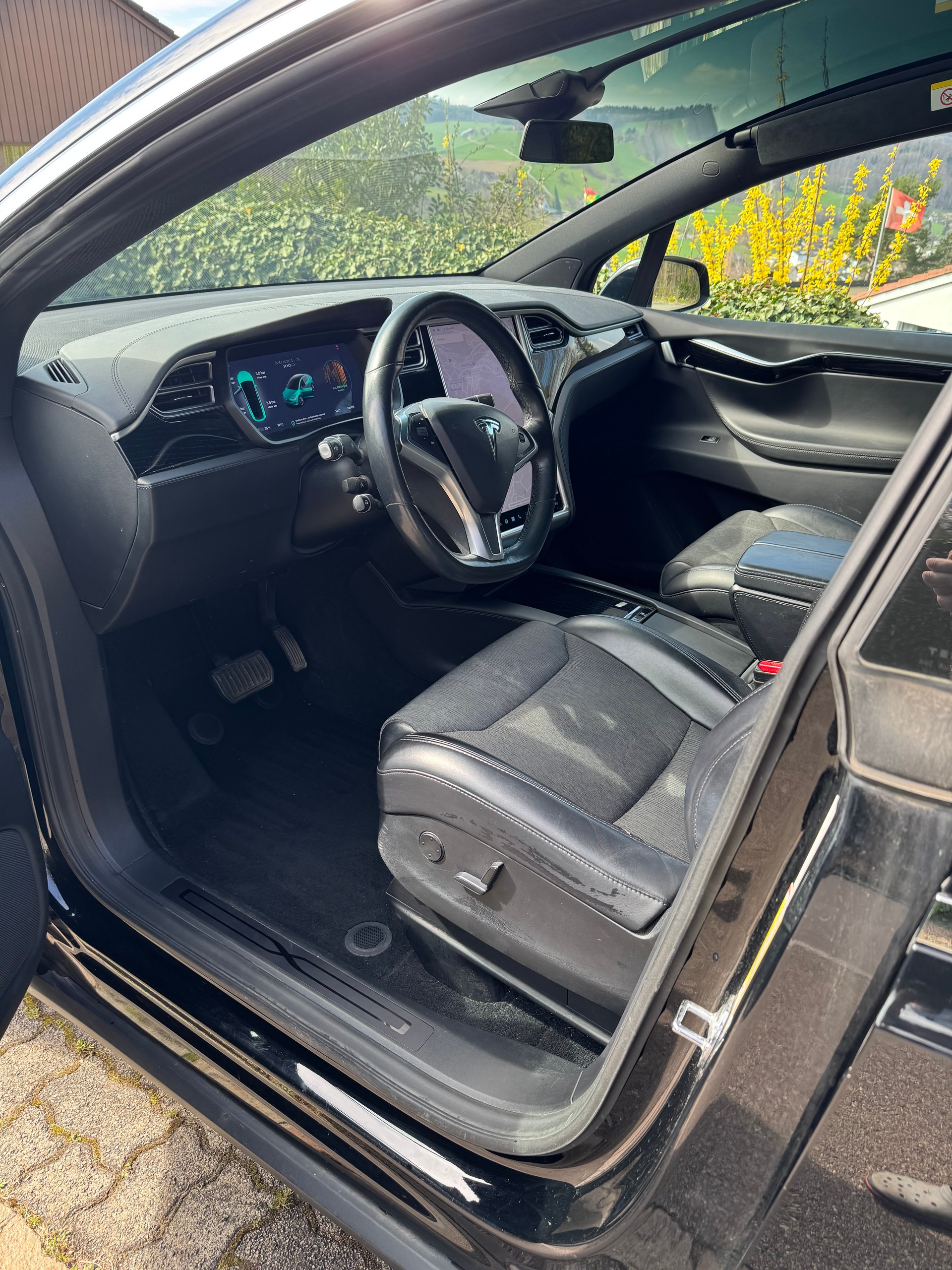 TESLA Model X 100 D-image-2
