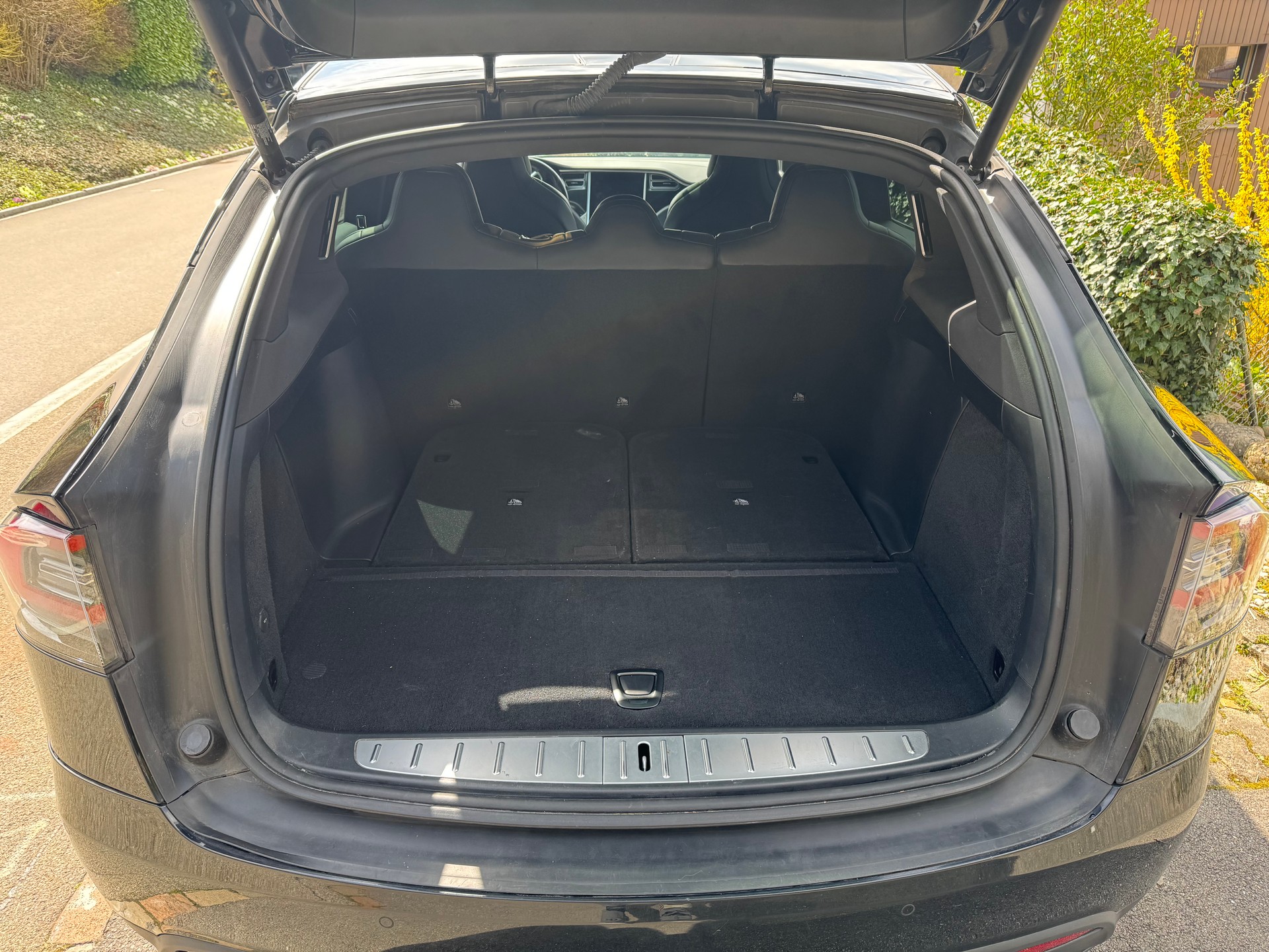 TESLA Model X 100 D-image-4