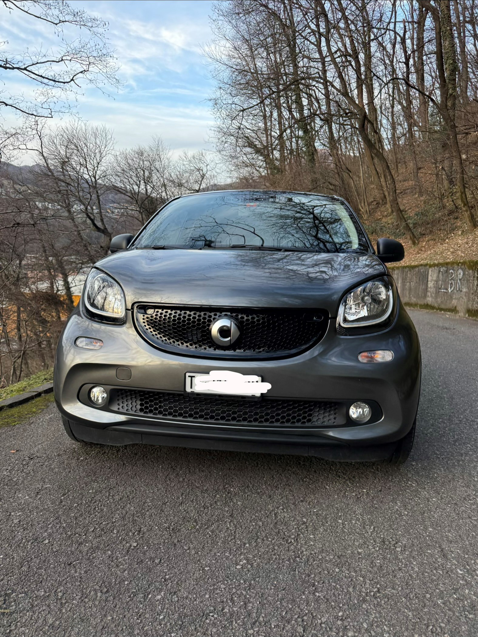 SMART forfour citypassion twinmatic-image-0