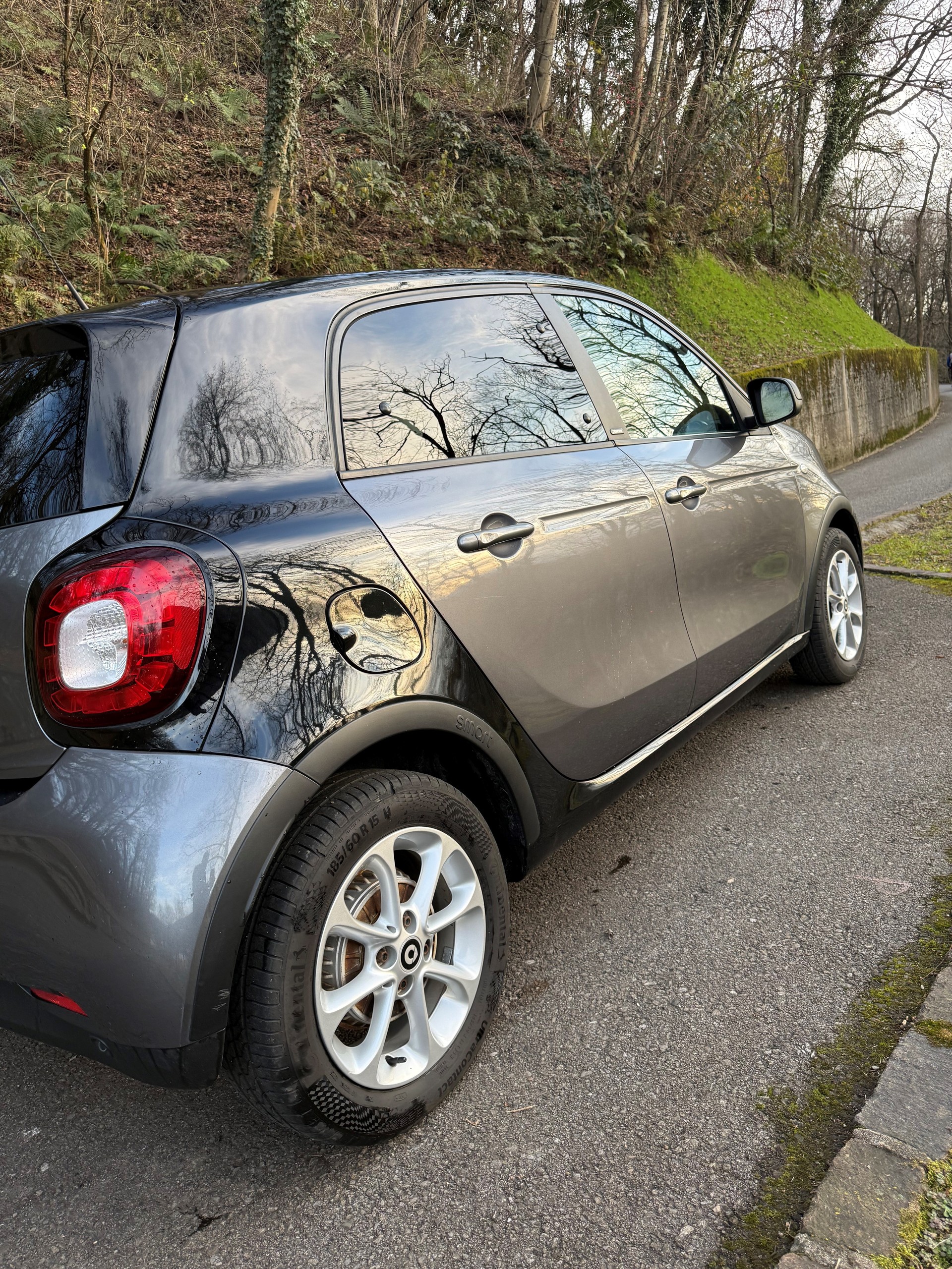 SMART forfour citypassion twinmatic-image-3