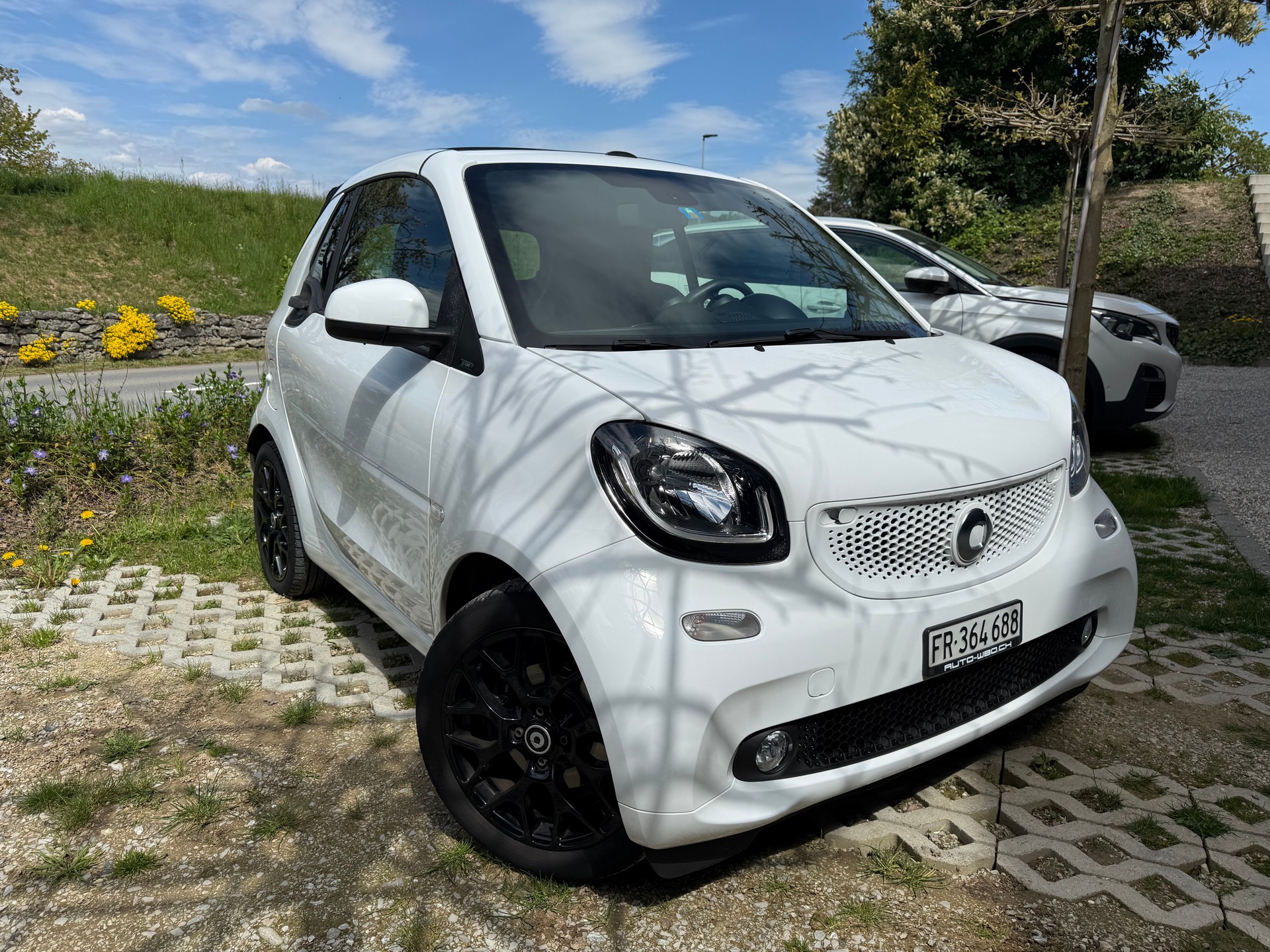 SMART fortwo prime twinmatic