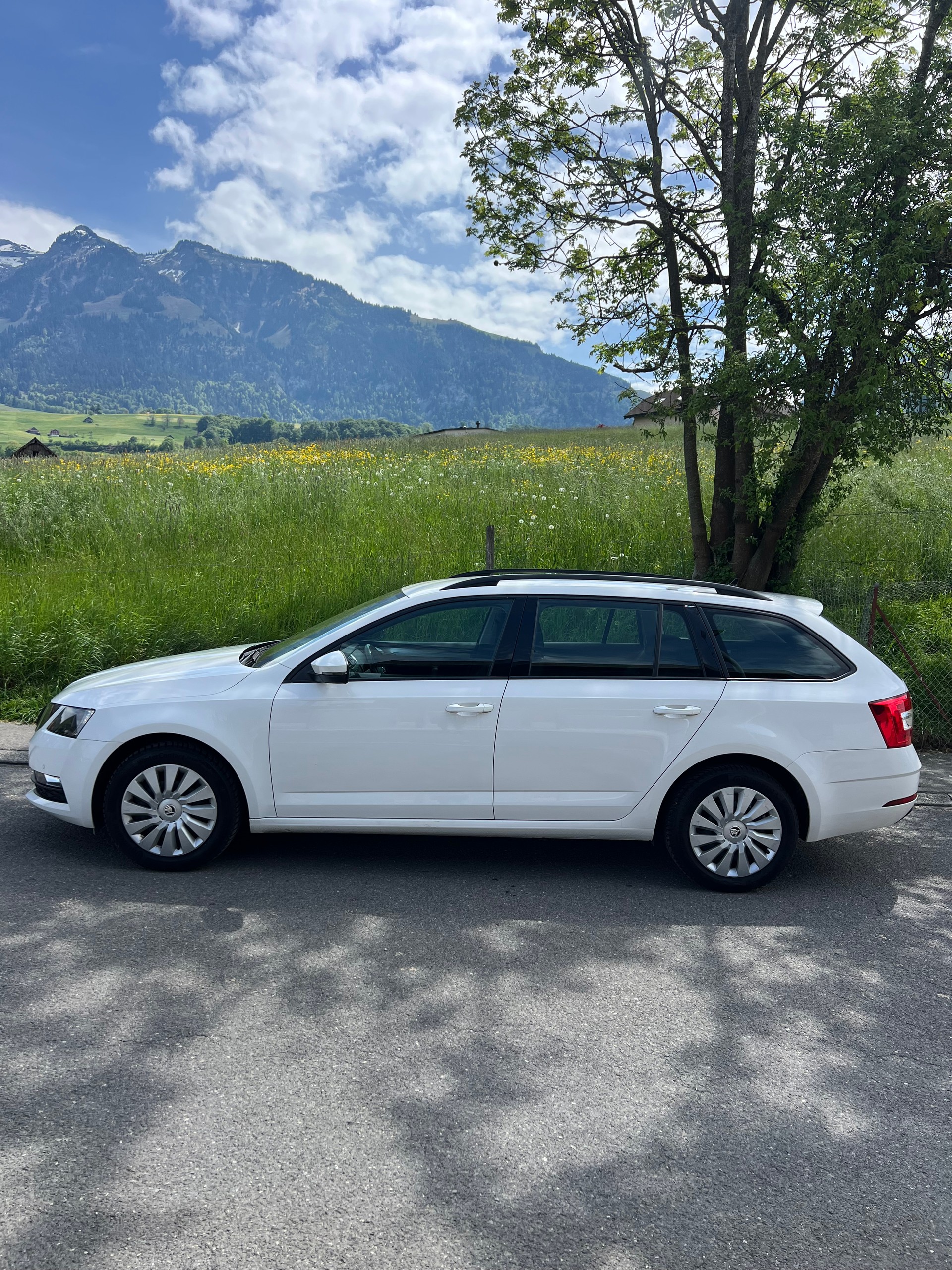 SKODA Octavia Combi 1.6 TDI Ambition-image-8